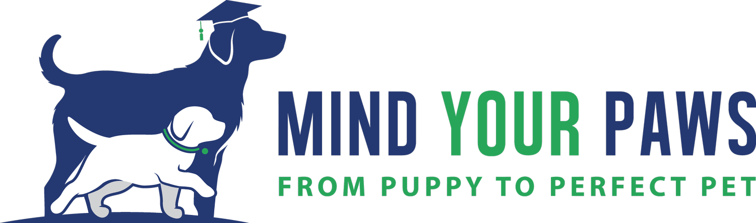 Mind Your Paws Dog Training