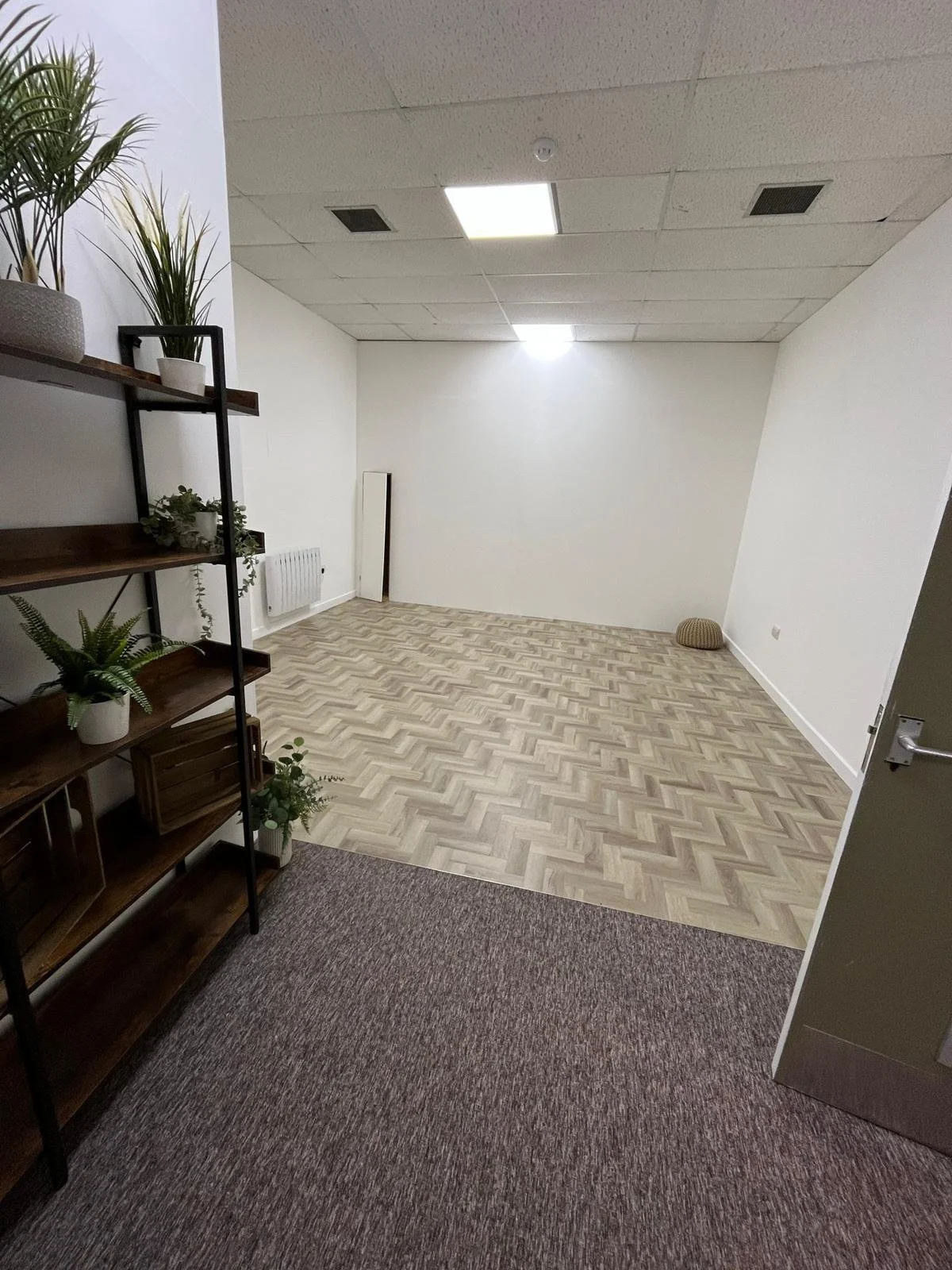 office 16.jpeg