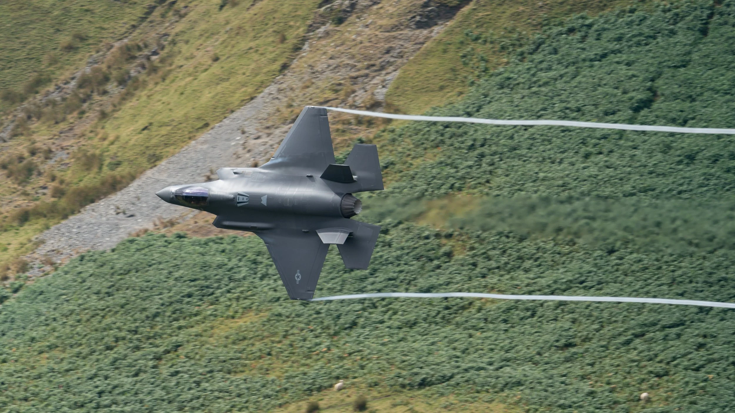 f35-6.jpg