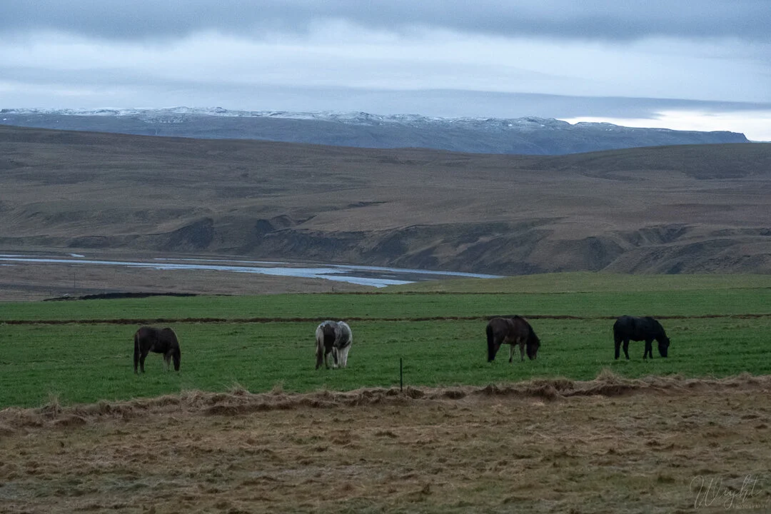 iceland one-48.jpg