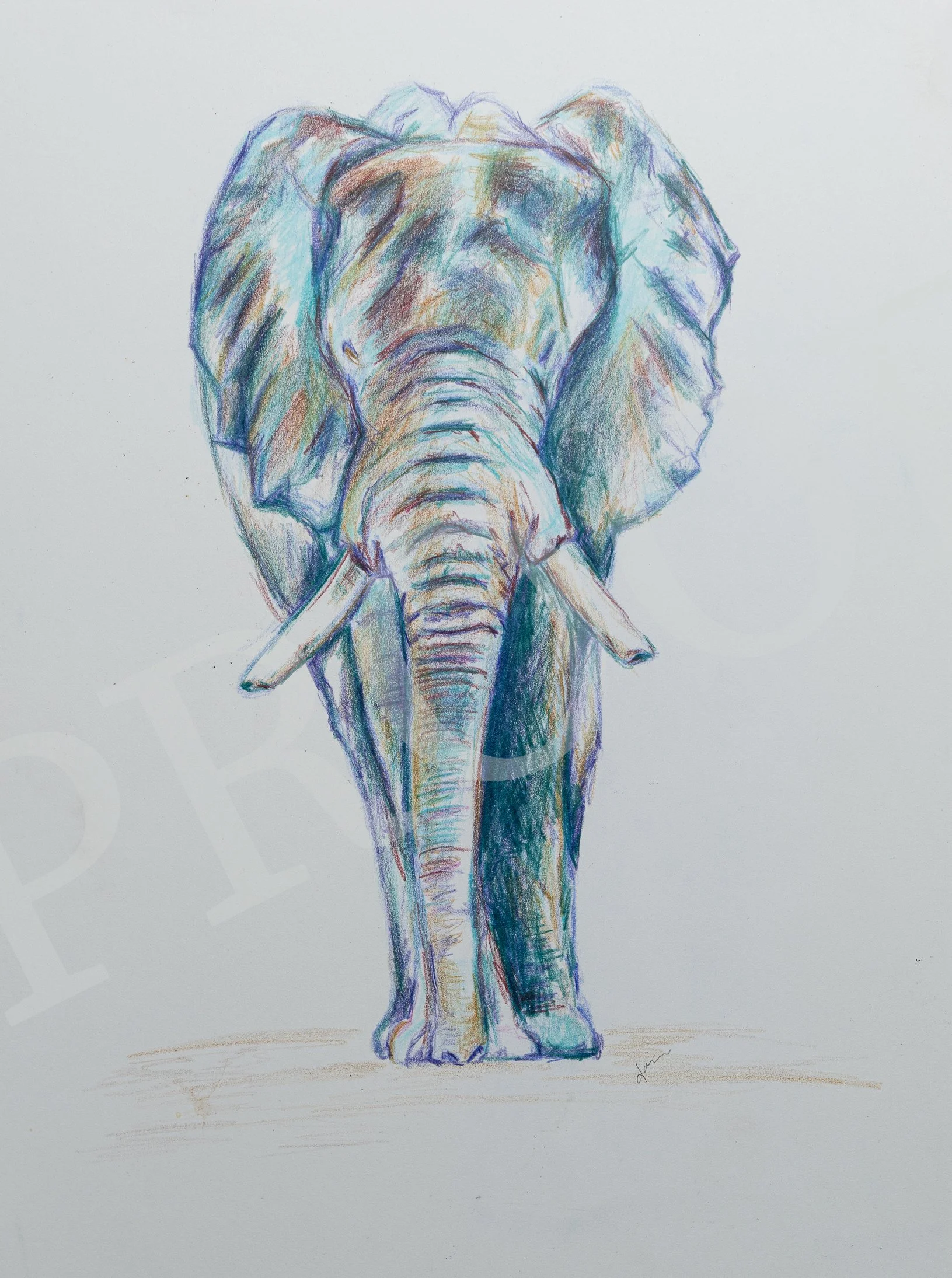 Art janineorj shoot2024-52.jpg