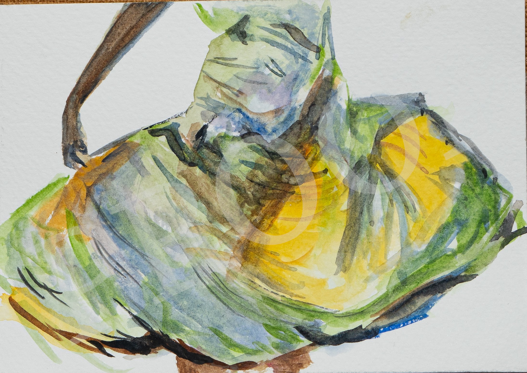 Art janineorj shoot2024-22.jpg