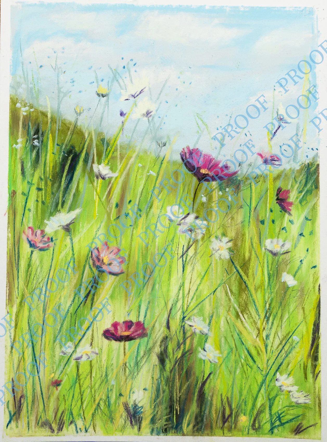 Wild flowers