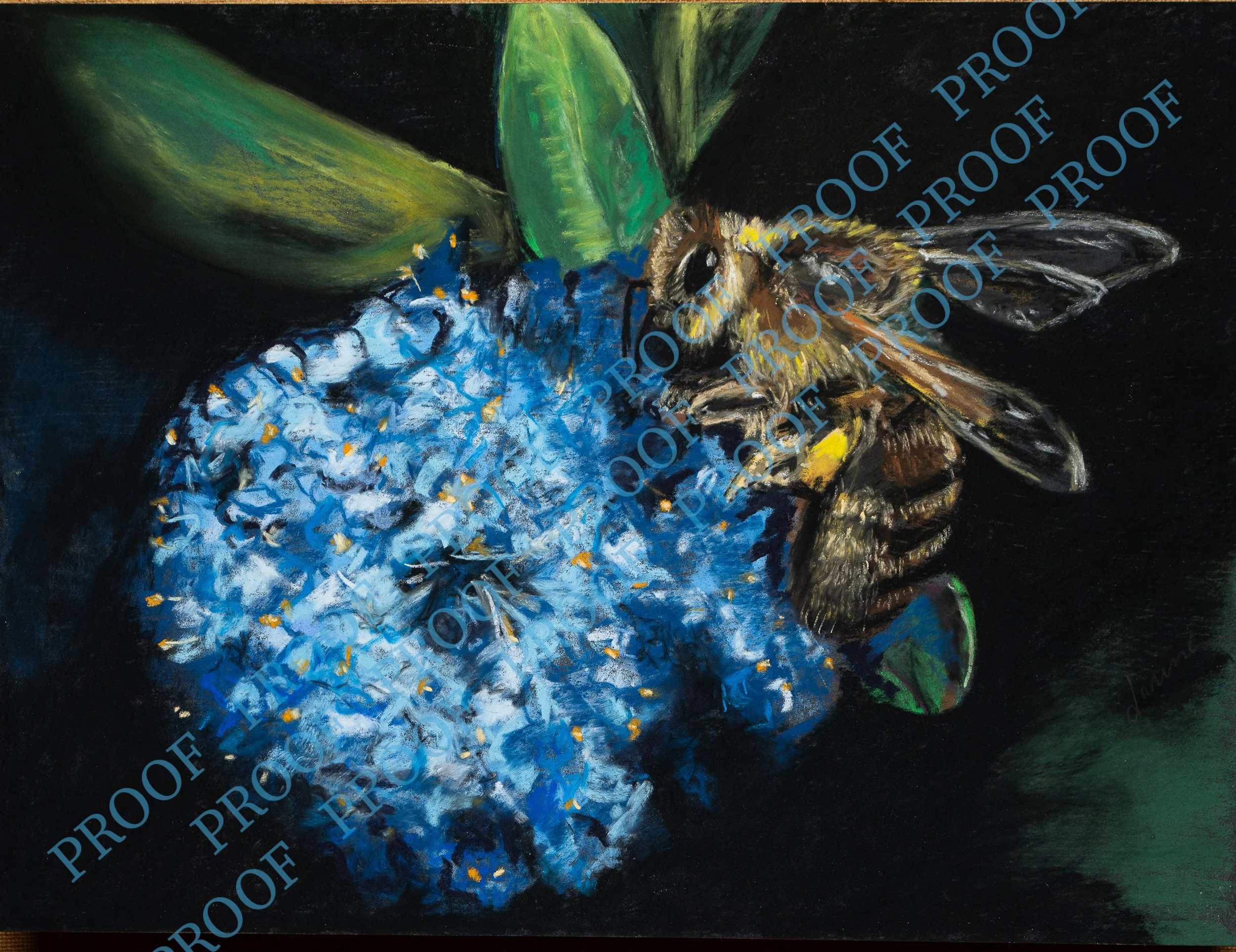 The bee with no name