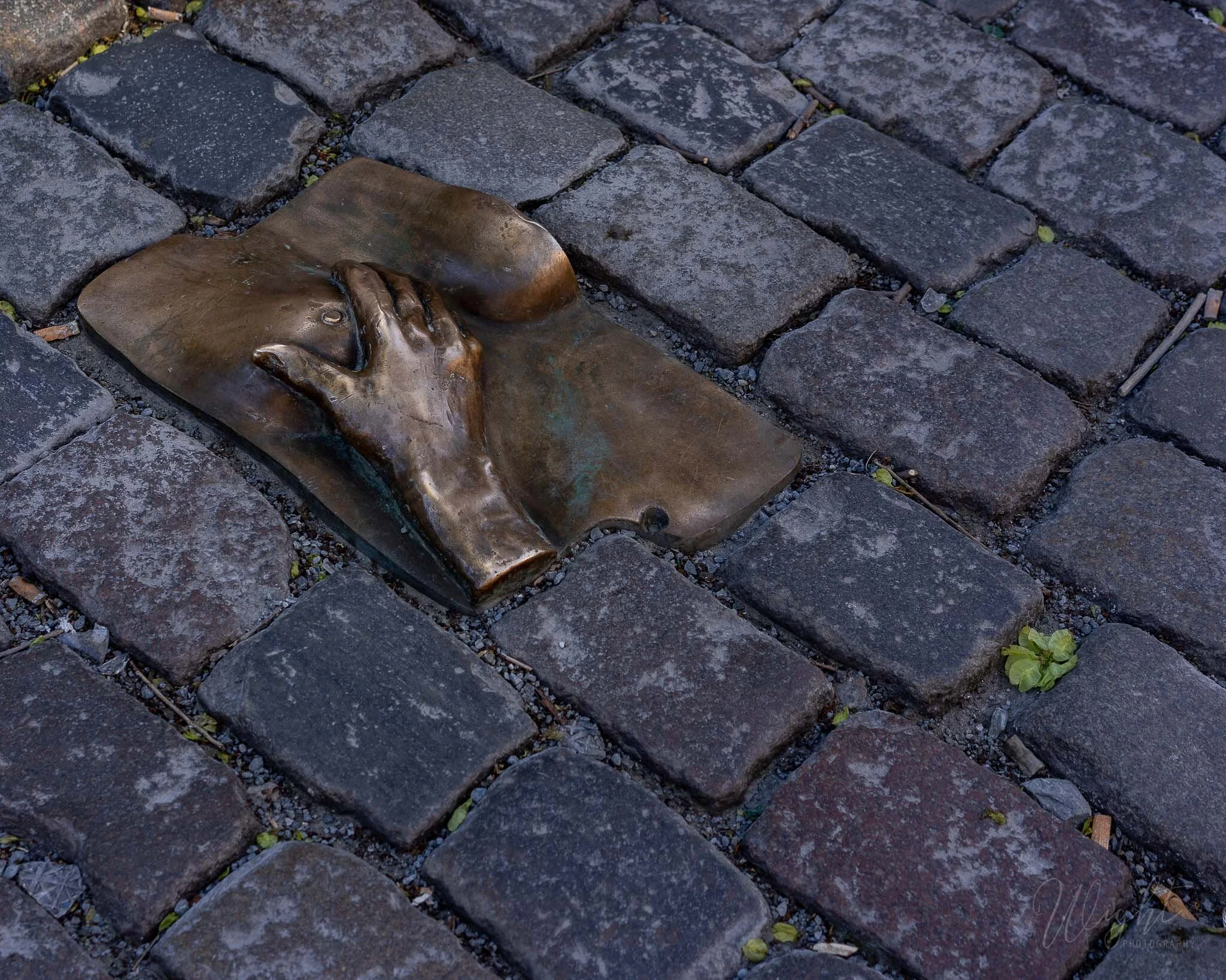 Holland-23.jpg