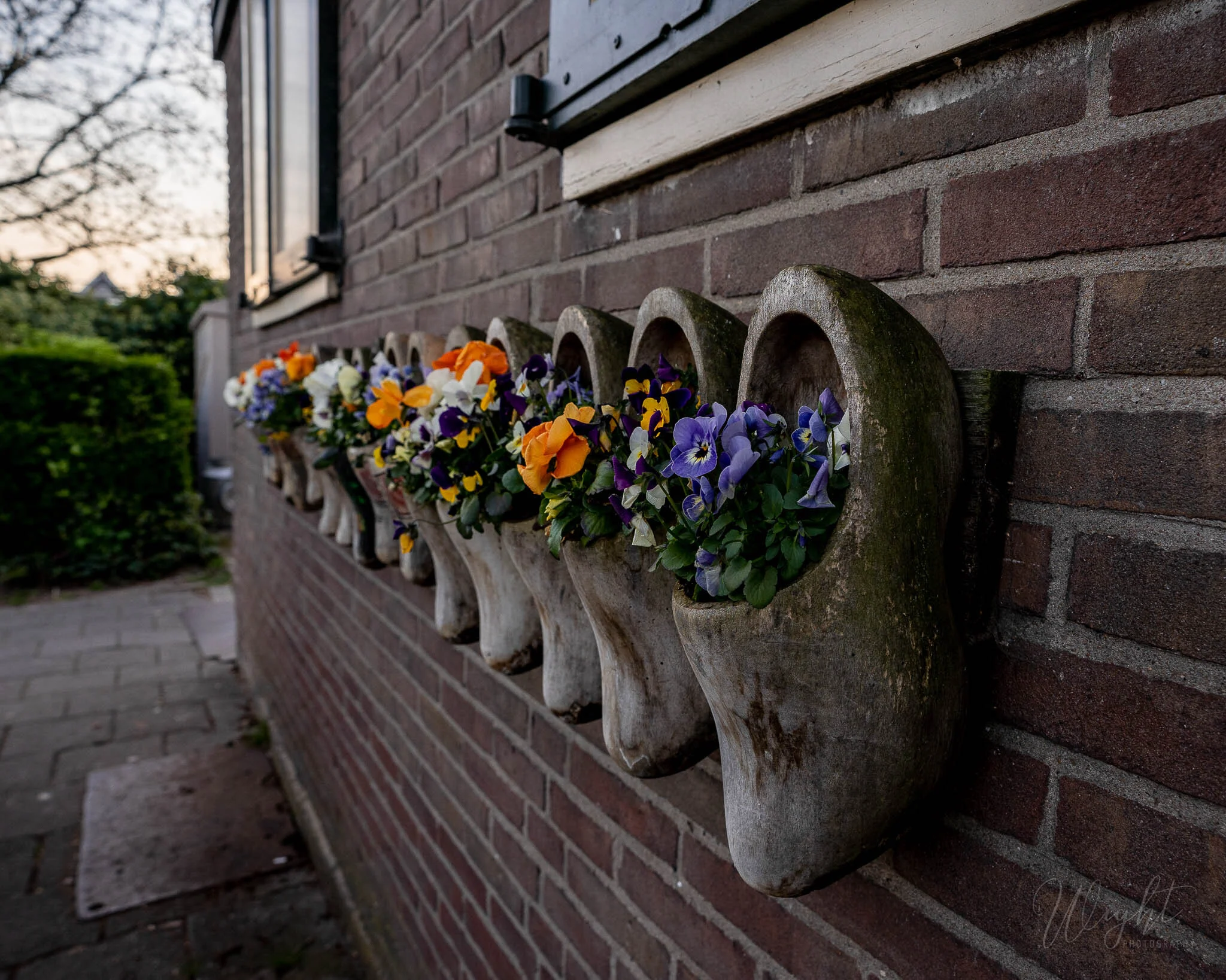 Holland-7.jpg