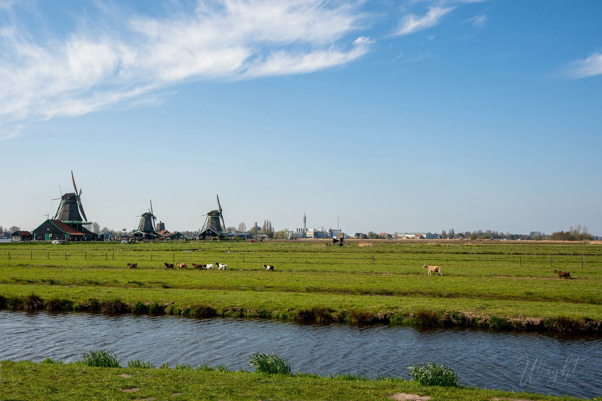 Holland-4.jpg