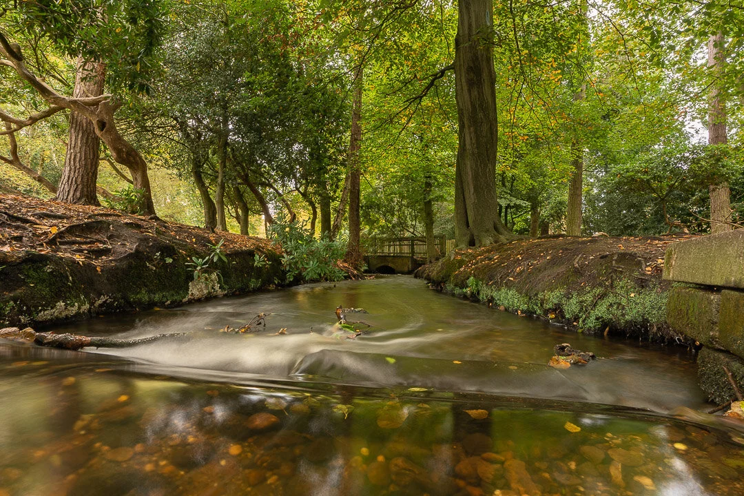 Sutton Park river 2-1.jpg