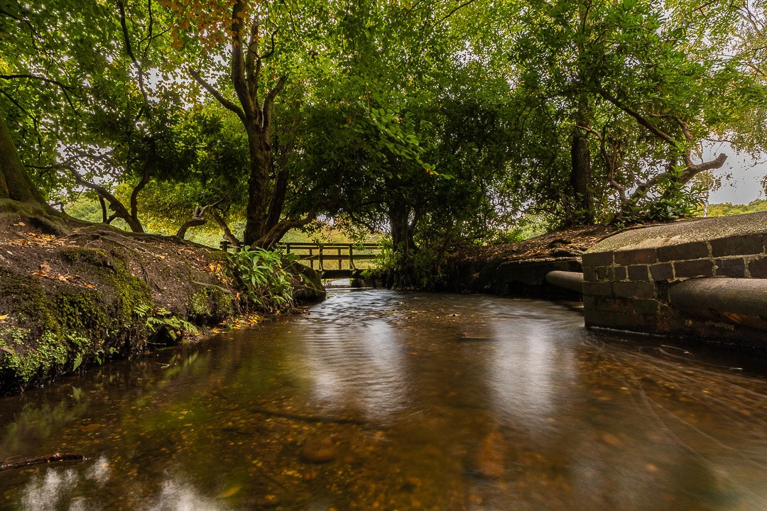 Sutton Park river 01-1.jpg