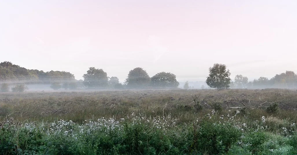 Misty Morning Shot
-

#nature #mistymorning #photographylife #photographyeveryday #landscapersofinstagram #igers #naturelover #moodynaturelandscapes #beautifullandscapes #landscape_lovers #sonyalpha #photographyisart #ukigers #natureloversofinstagram