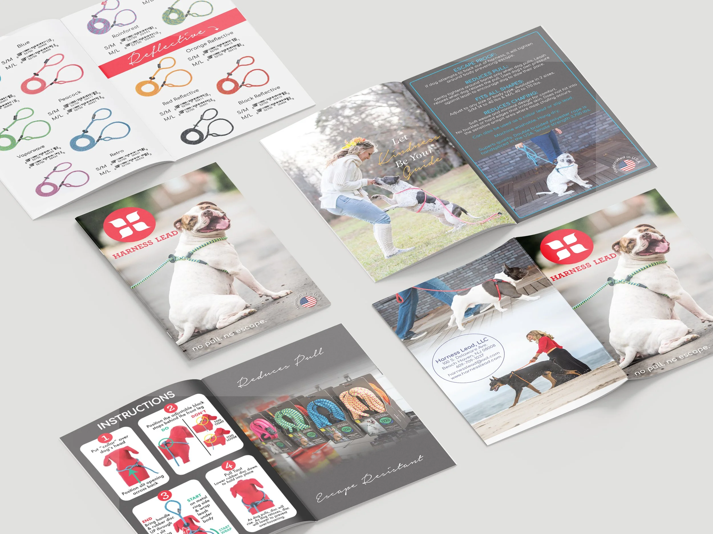 Harness Lead Brochure Mockup copy.jpg