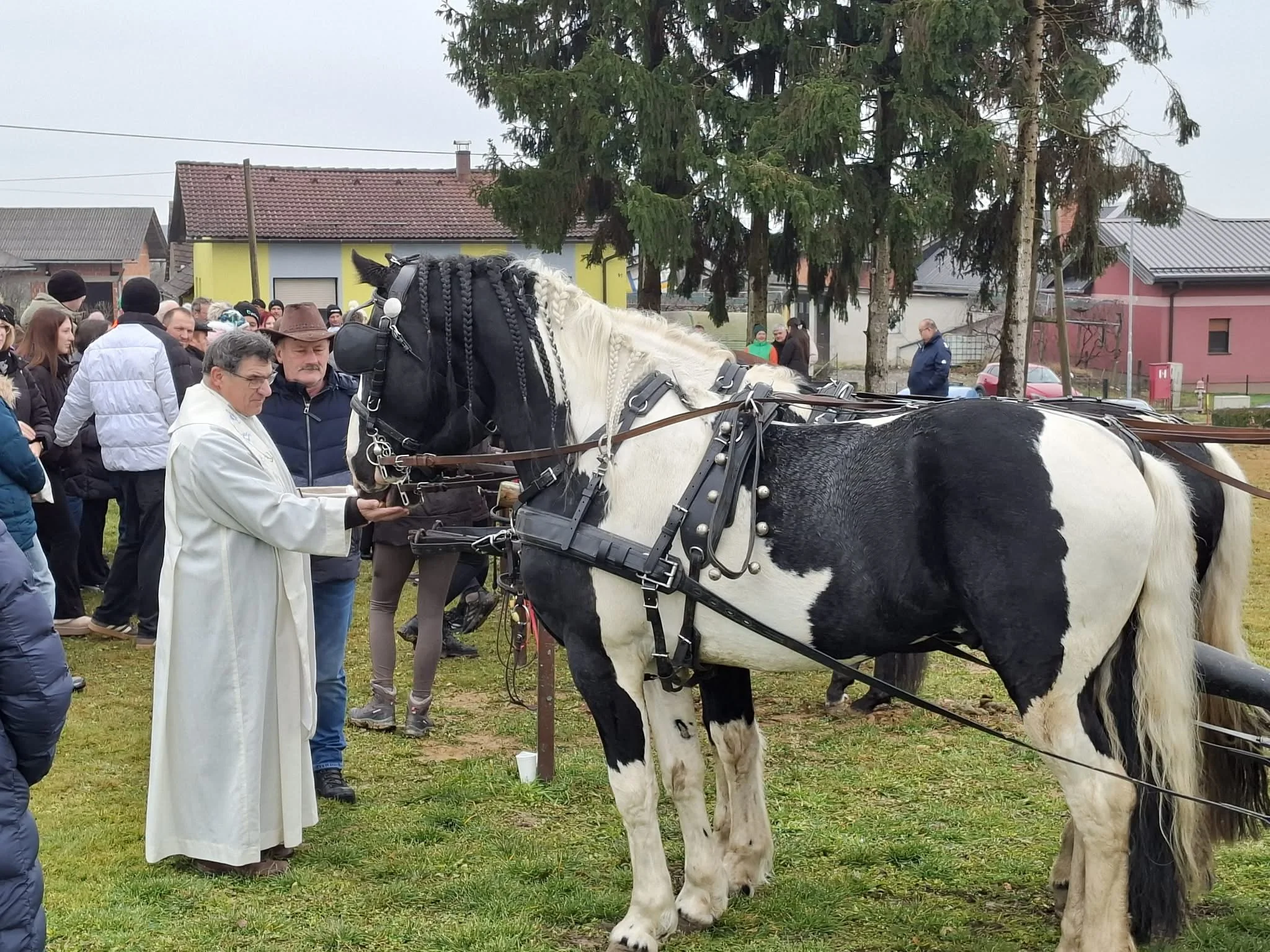 Blagoslov konjev v Beznovcih