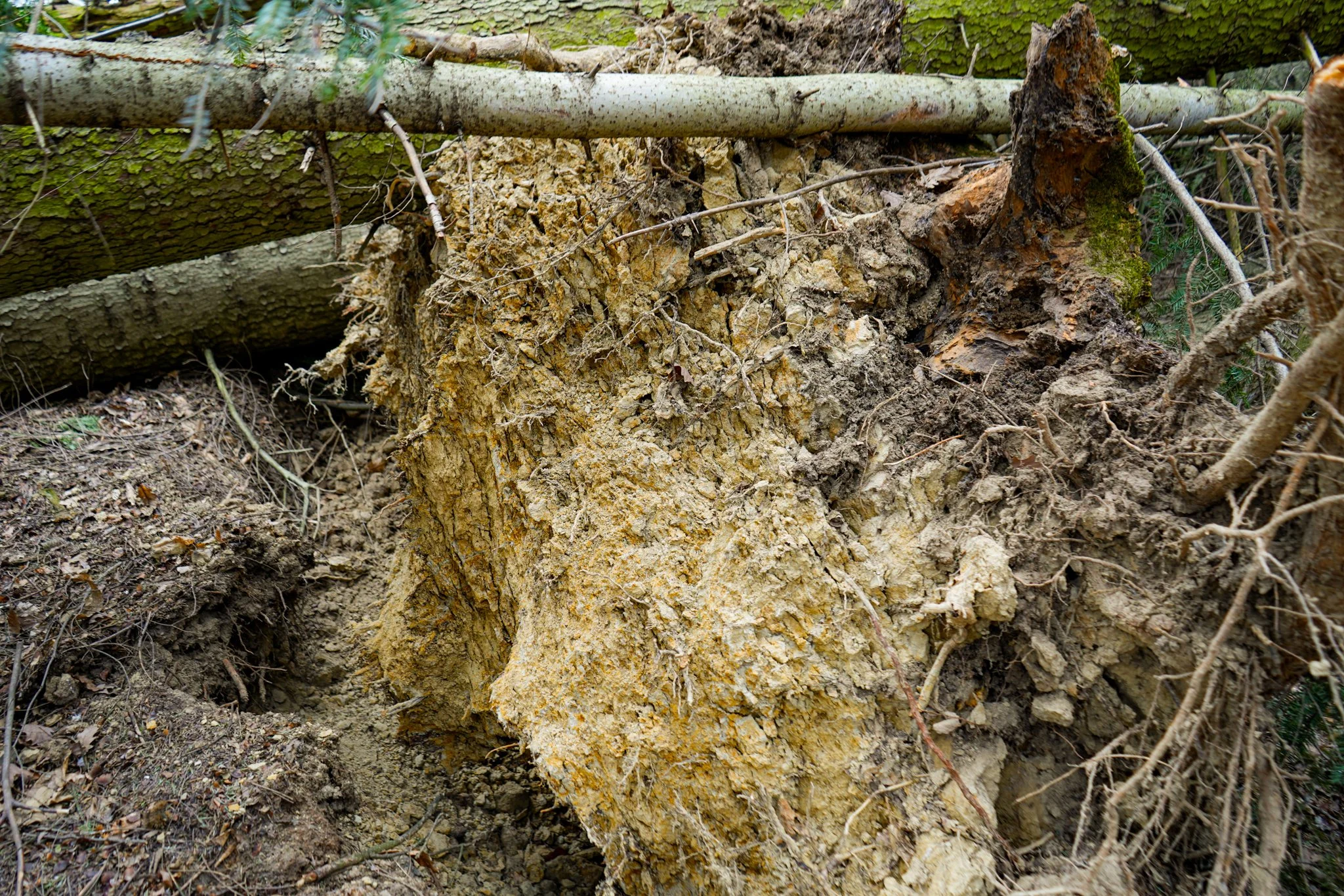 Vetrolom na Goričkem