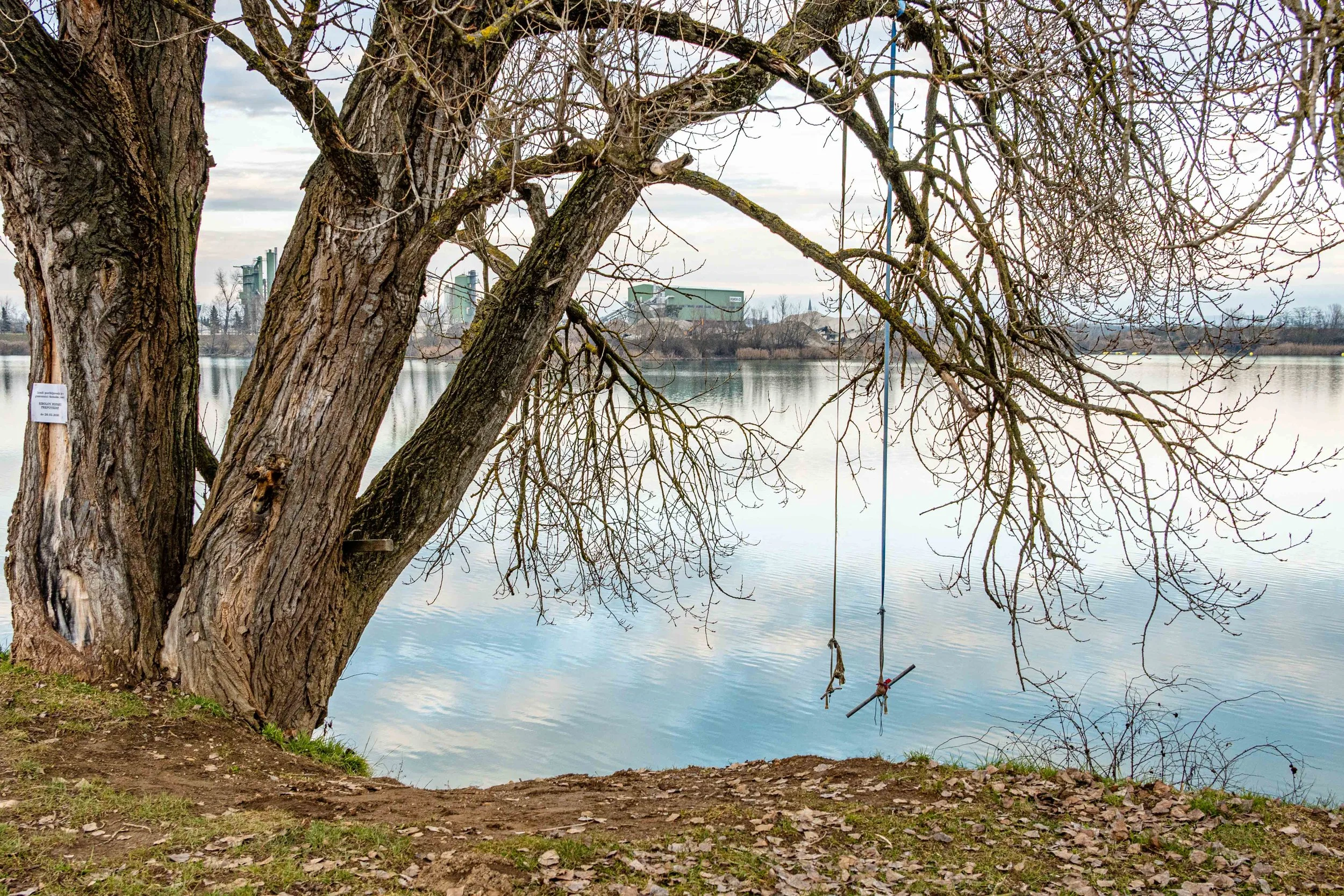 Soboško jezero / vrv za skok v vodo na polotoku. Januar 2026 / Klara Durič