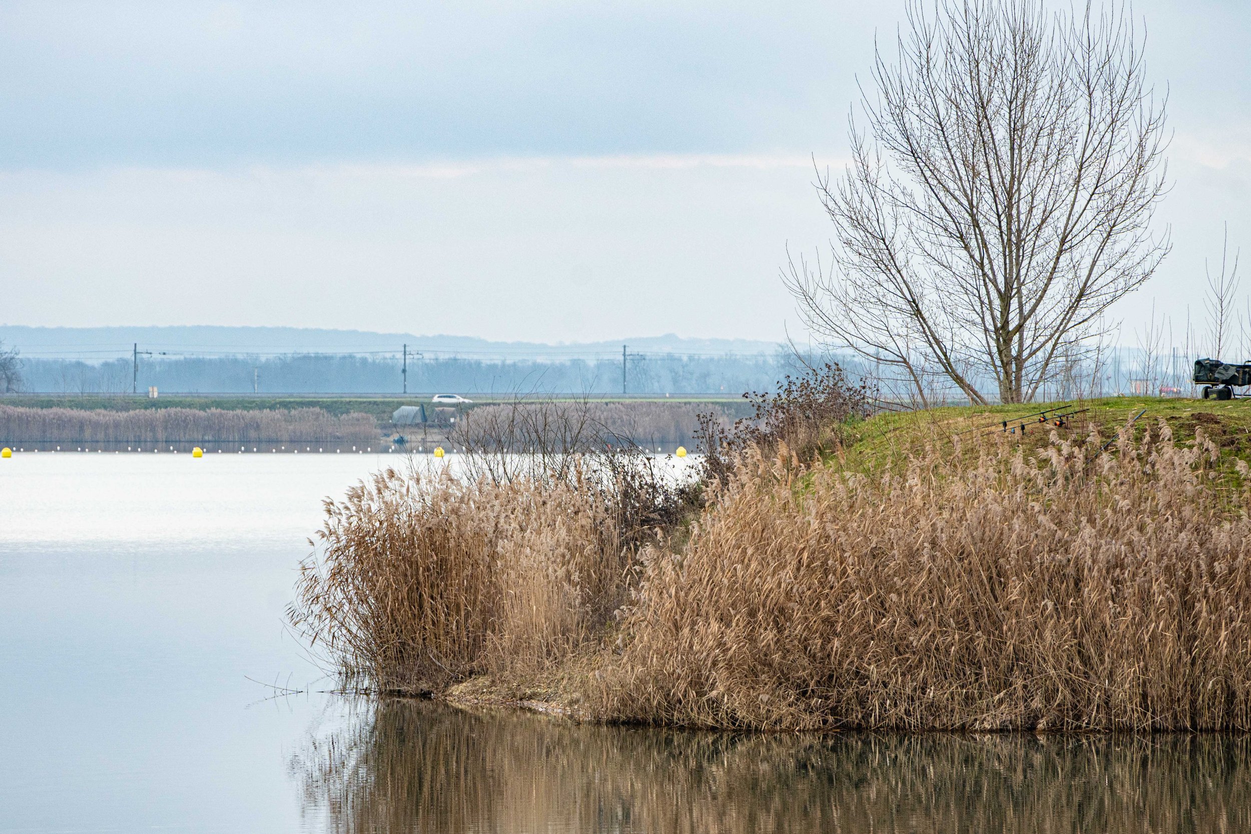 Soboško jezero / polotok. Januar 2026 / Klara Durič