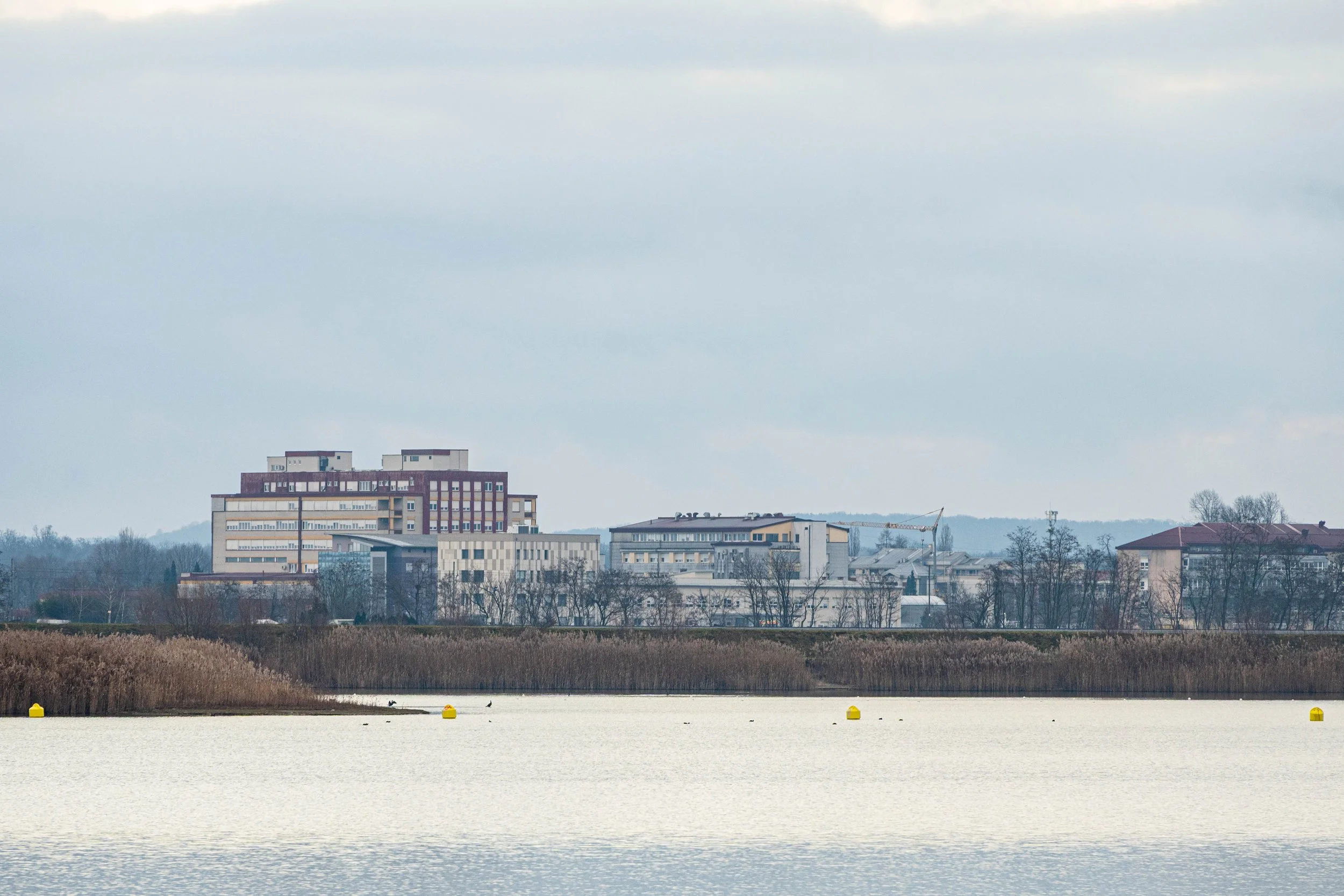 Soboško jezero / razgled na SBMS. Januar 2026 / Klara Durič