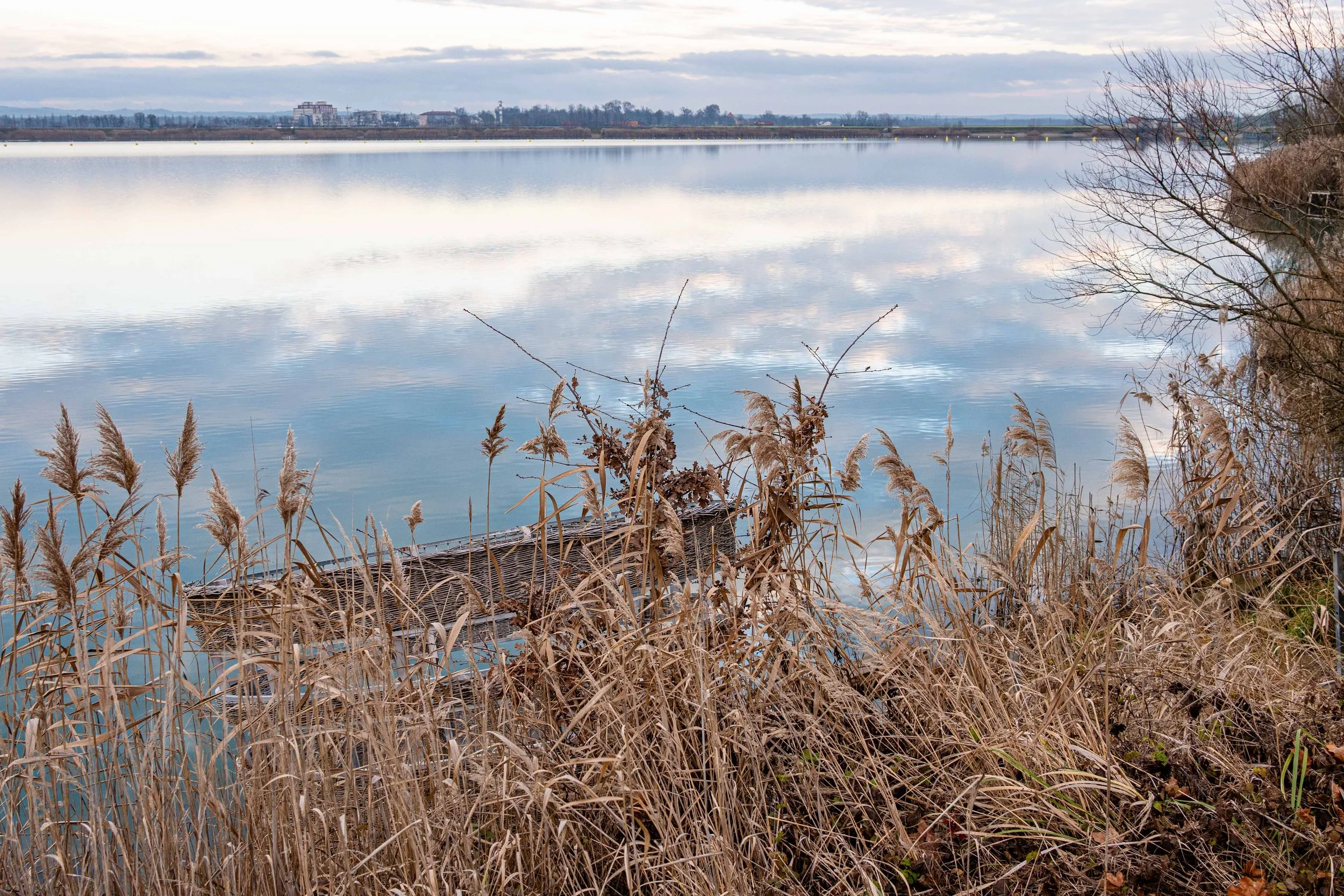 Soboško jezero / otok na vodi. Januar 2026 / Klara Durič