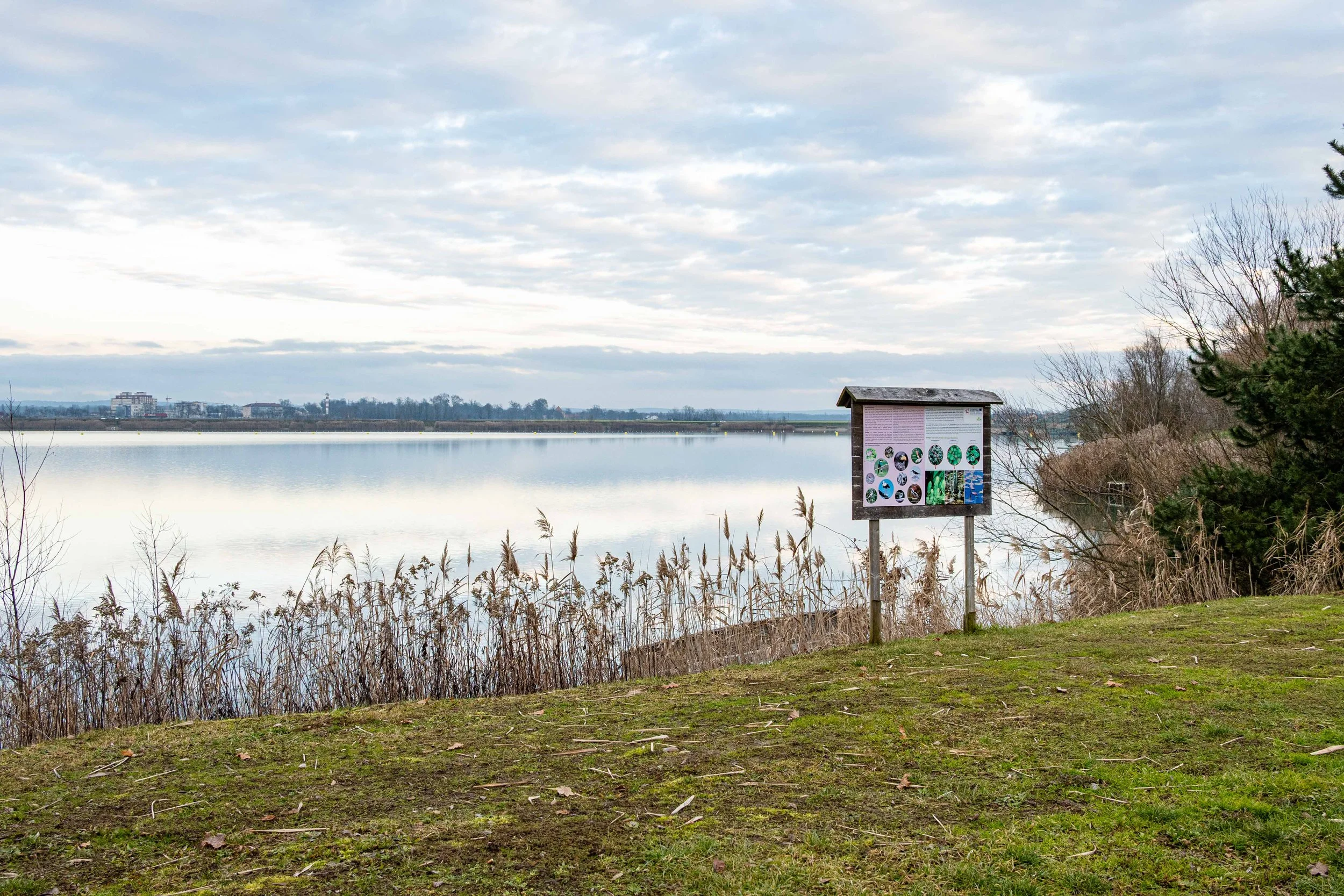 Soboško jezero / otok na vodi. Januar 2026 / Klara Durič