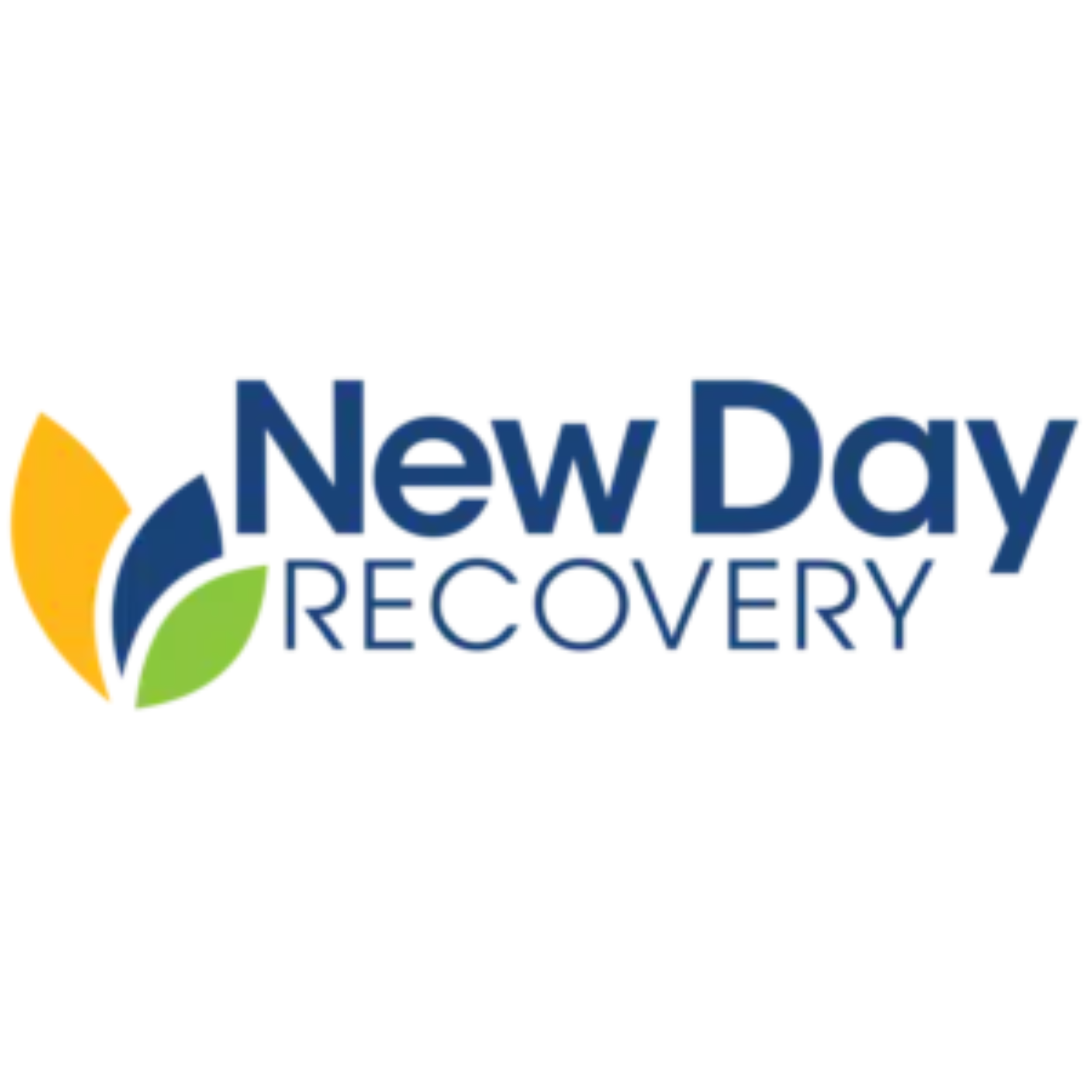 New Day Recovery Link to Website