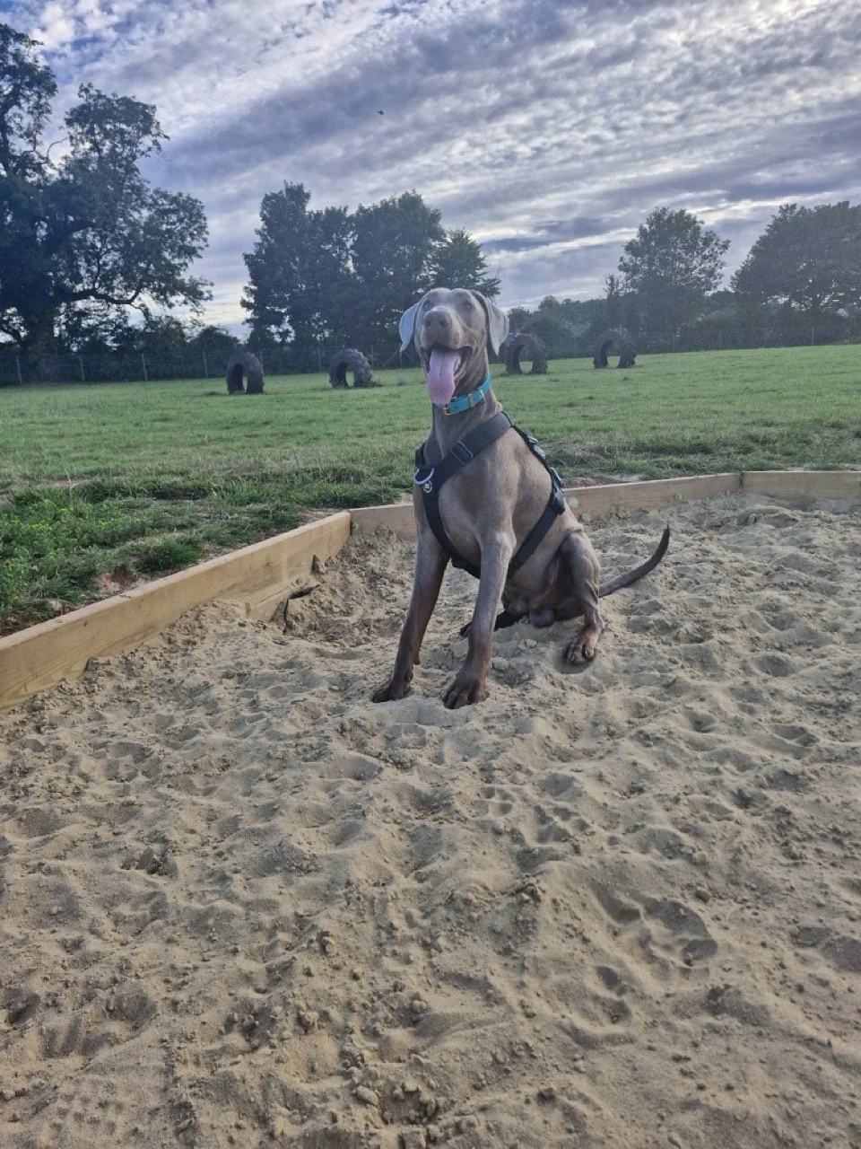 20250701_201114 Large.jpeg