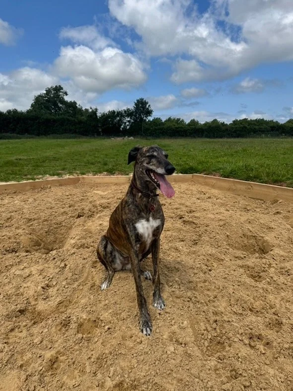 B119F30D-06F8-46DC-8A6D-37A5728D3204 Large.jpeg