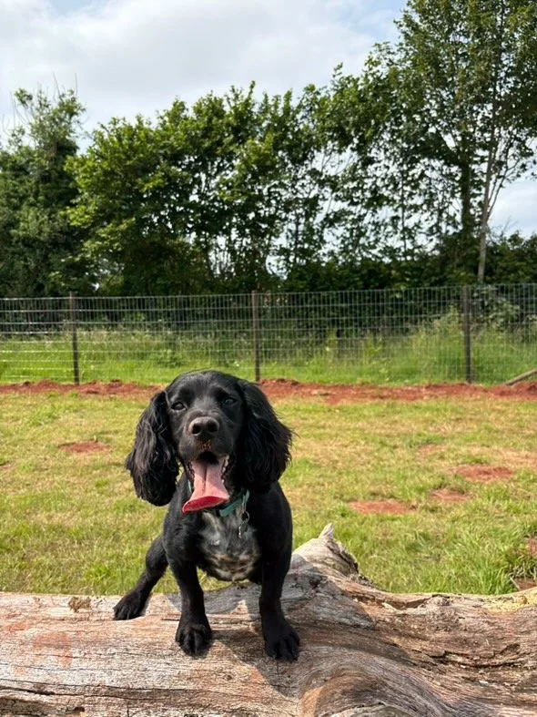 3A795443-D089-4C26-887C-6316FFBA5CA3 Large.jpeg