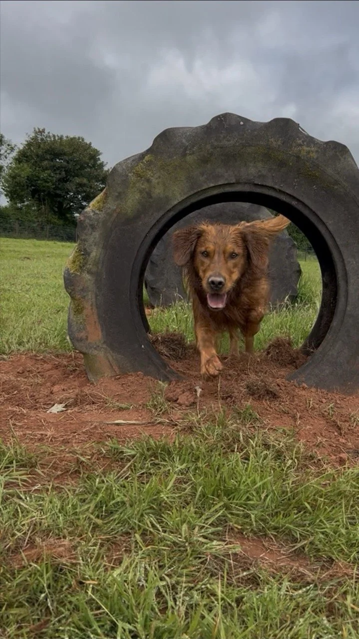 Screenshot 2025-07-04 at 14.24.03 Large.jpeg