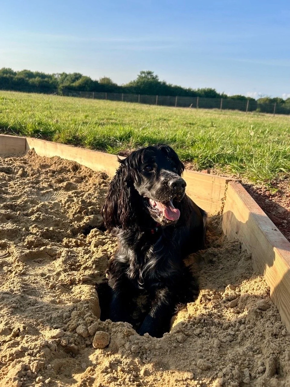 DCEED32E-D45E-423E-BACF-C2FD09B4943E Large.jpeg