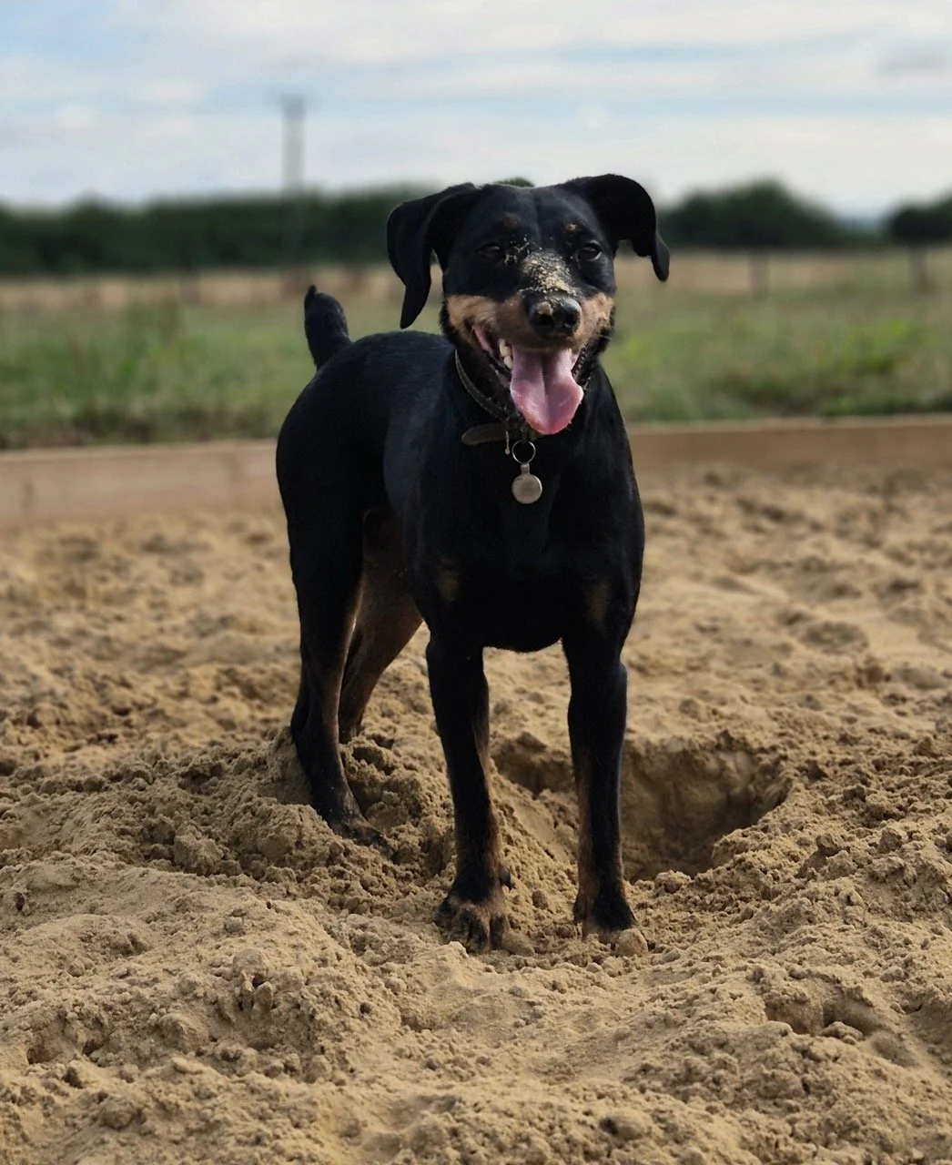 20250718_094114 Large.jpeg