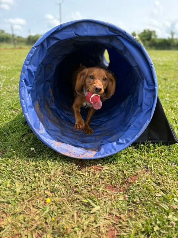 0DE3DB32-D323-48F2-9040-E2E842031740 Large.jpeg