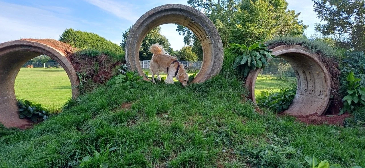 20250906_161622 Large.jpeg