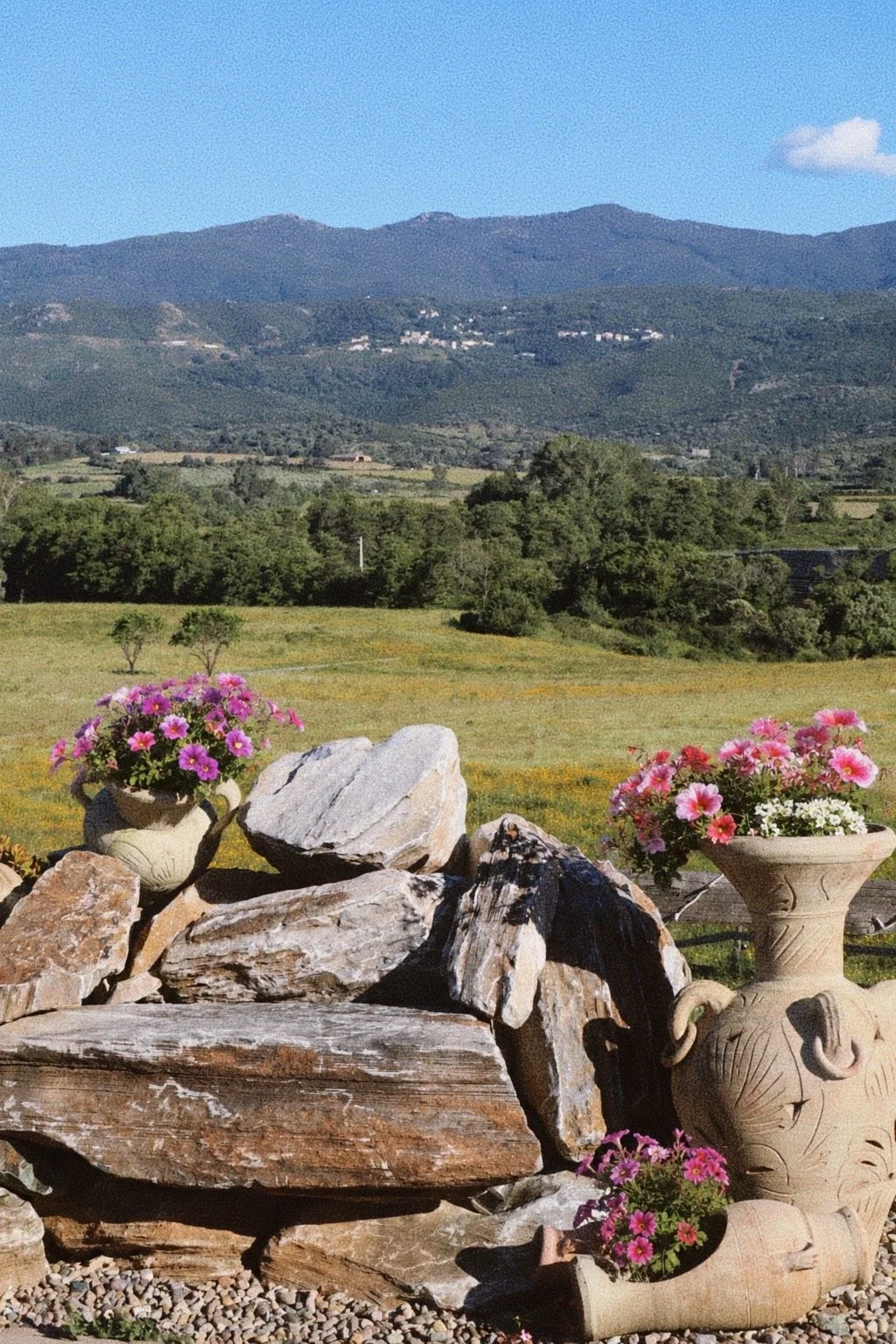 oletta restaurant campagne

