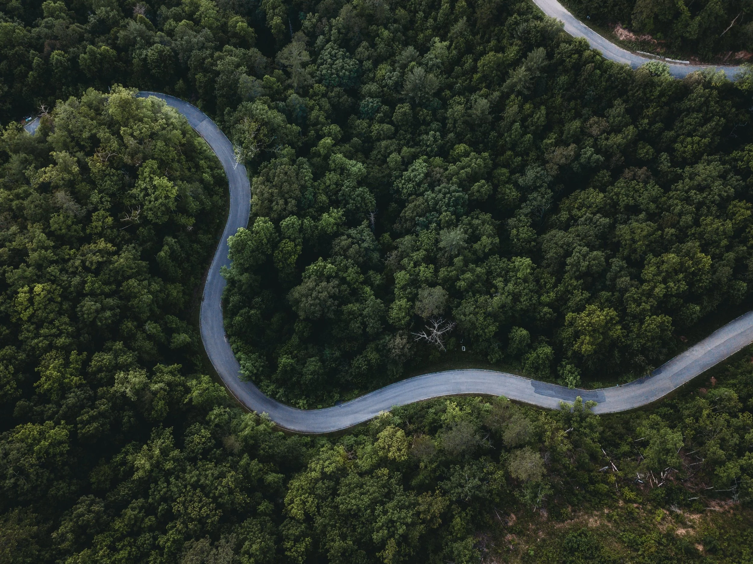 Chiefly tool: Change management guide