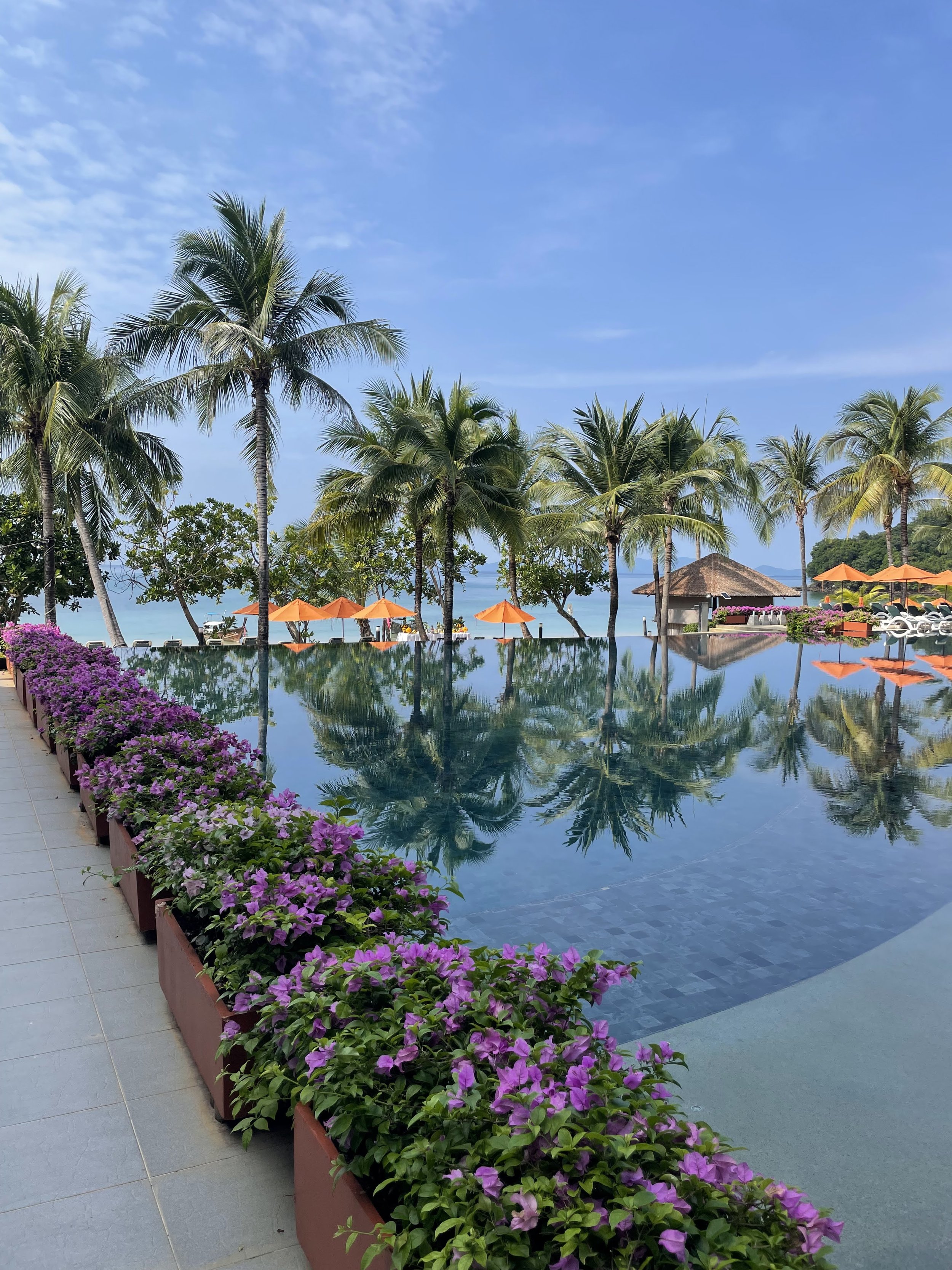 A tropical resort with a large swimming pool, palm trees, purple flowers in planters along the poolside, orange umbrellas near the ocean, and a thatched-roof hut, all under a blue sky with some clouds.