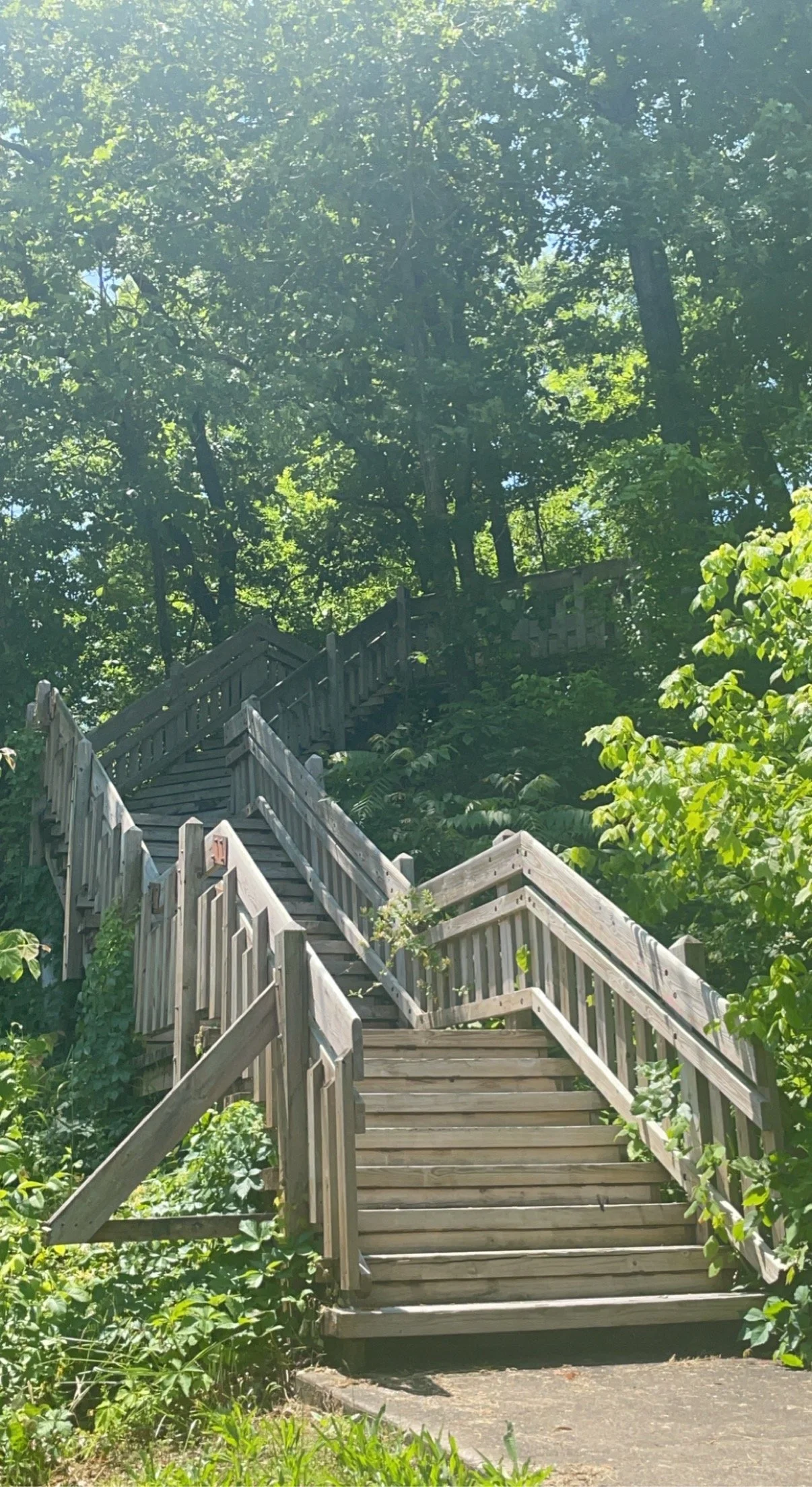 Wooden staircase leading up through a lush green wooded area on a sunny day.