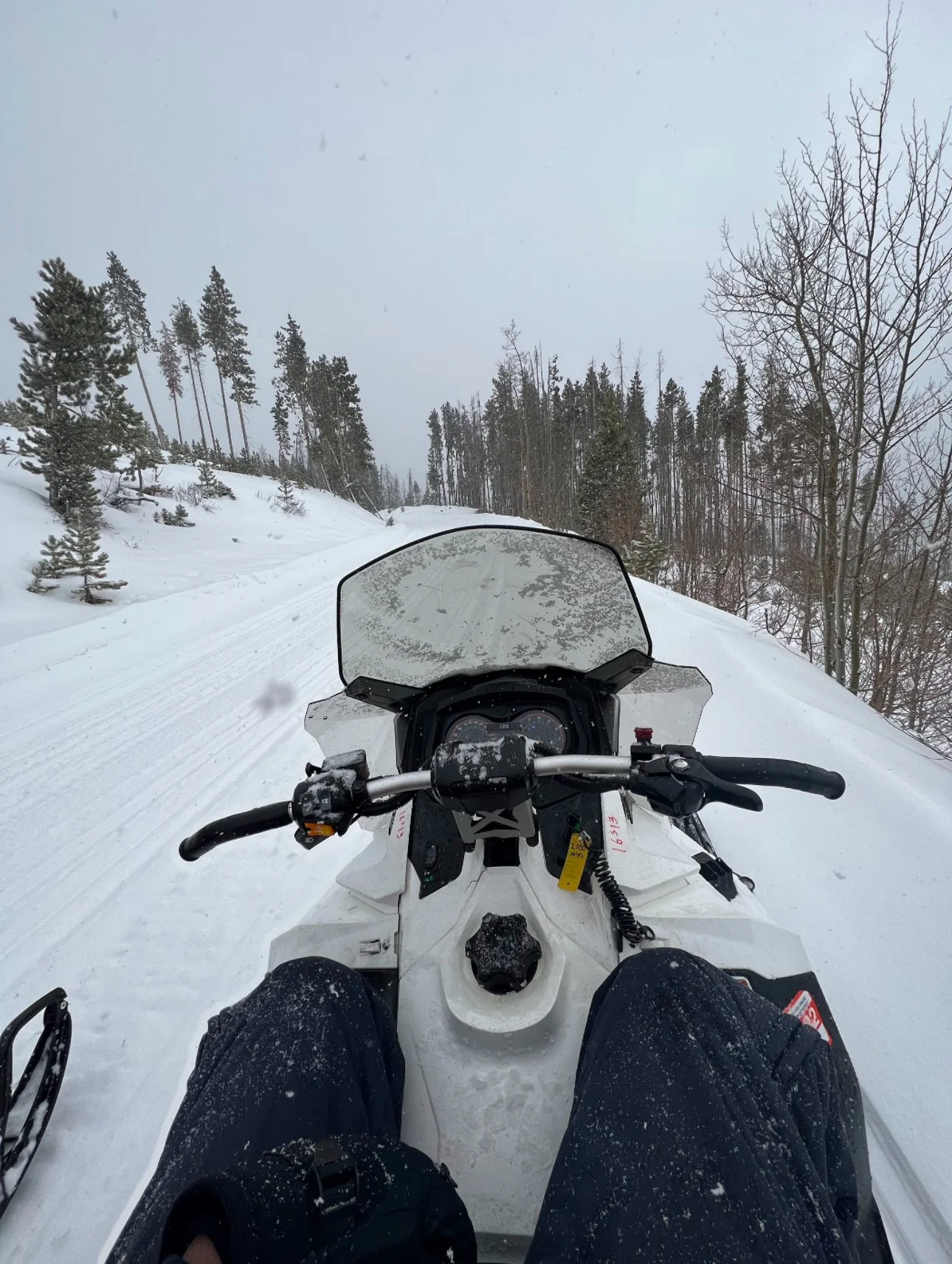 View from a snowmobile in a snow-covered forest trail during winter.