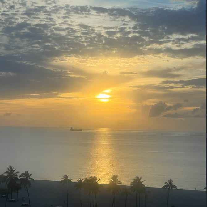 Sunset over the ocean with a cargo ship in the distance and palm trees along the shoreline.