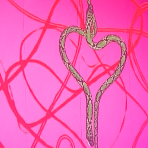 A snake forming a heart shape against a pink background with red string-like lines.