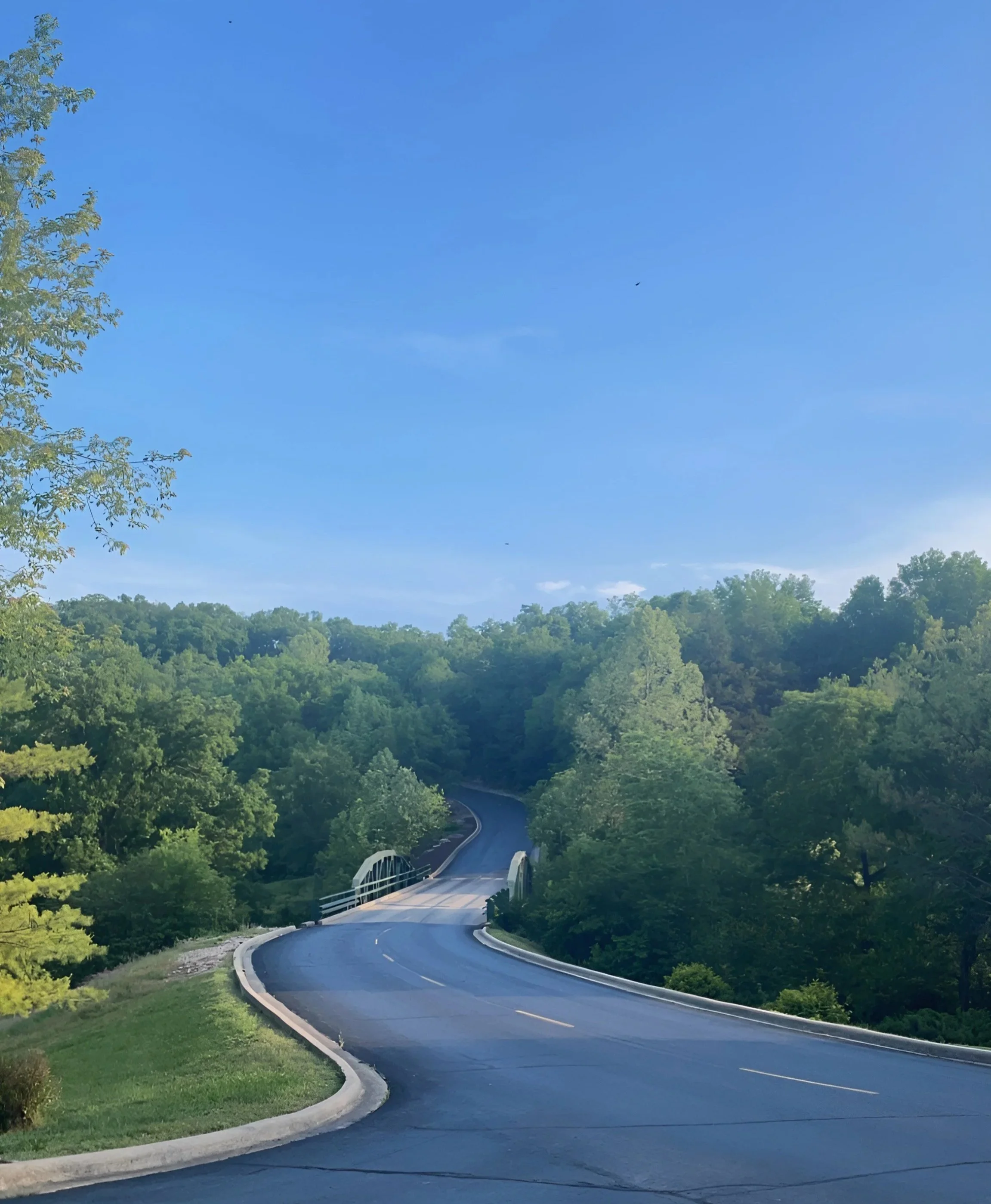 Winding road through a lush green forest with a small white bridge and a clear blue sky.