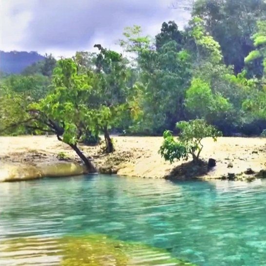 A serene landscape featuring clear turquoise water, sandy shores, and lush green trees on a hillside in a tropical setting.