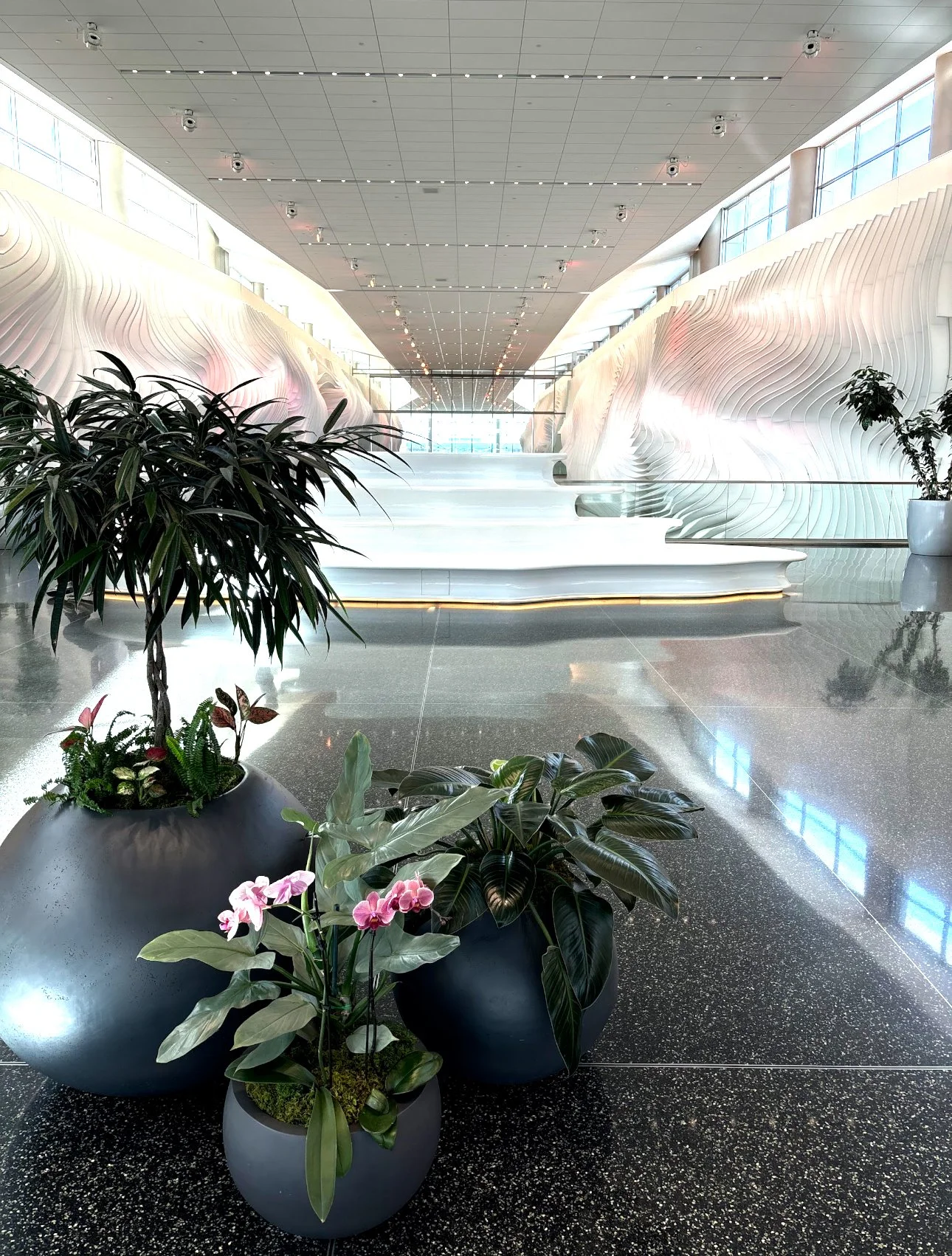 Modern indoor space with large potted plants, a polished black terrazzo floor, and architectural walls. An escalator is visible in the background, and the ceiling features numerous small spotlights.