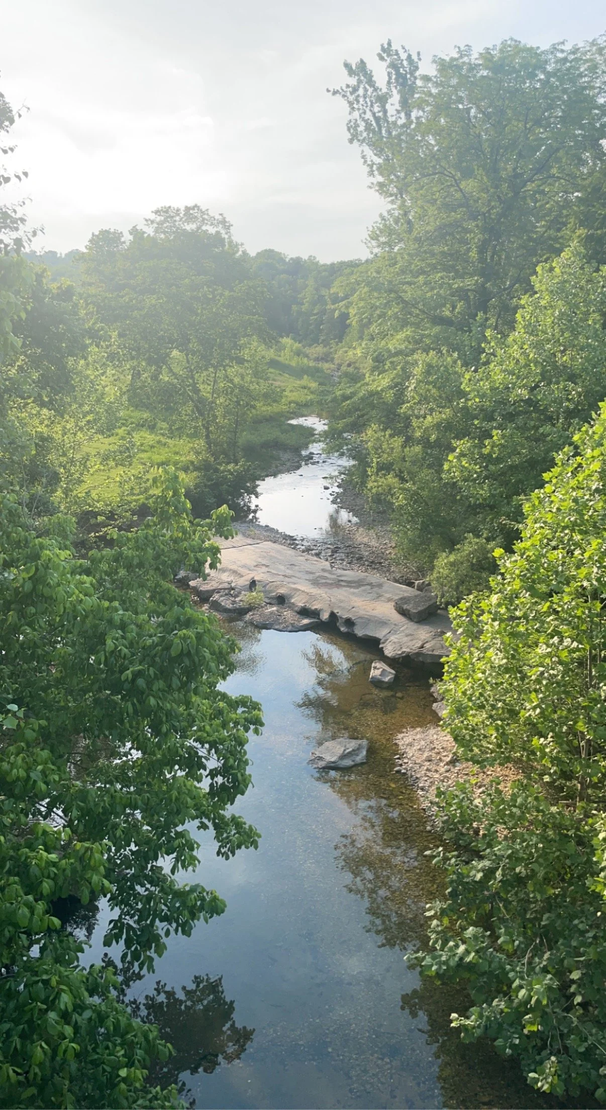 A serene small river flowing through a lush, green forest on a sunny day, with trees lining both sides and rocks in the water.