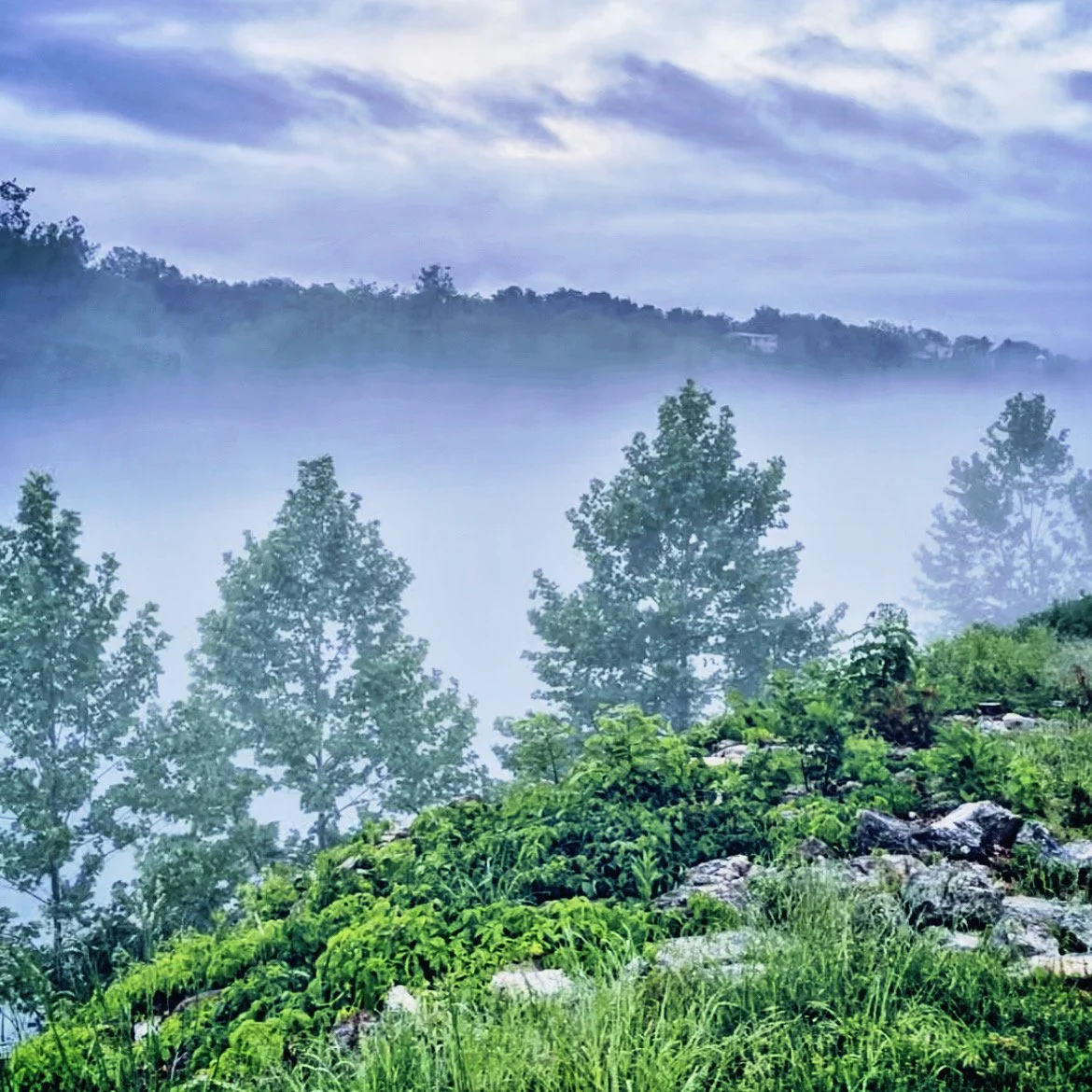 A misty, lush green hillside with dense trees and rocks, under a cloudy sky.