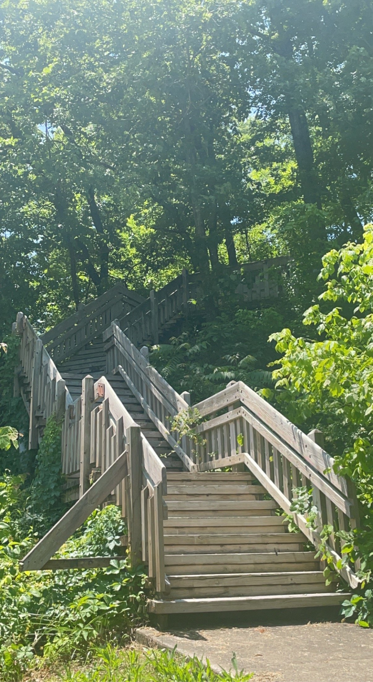 Wooden staircase leading up through a lush green wooded area.