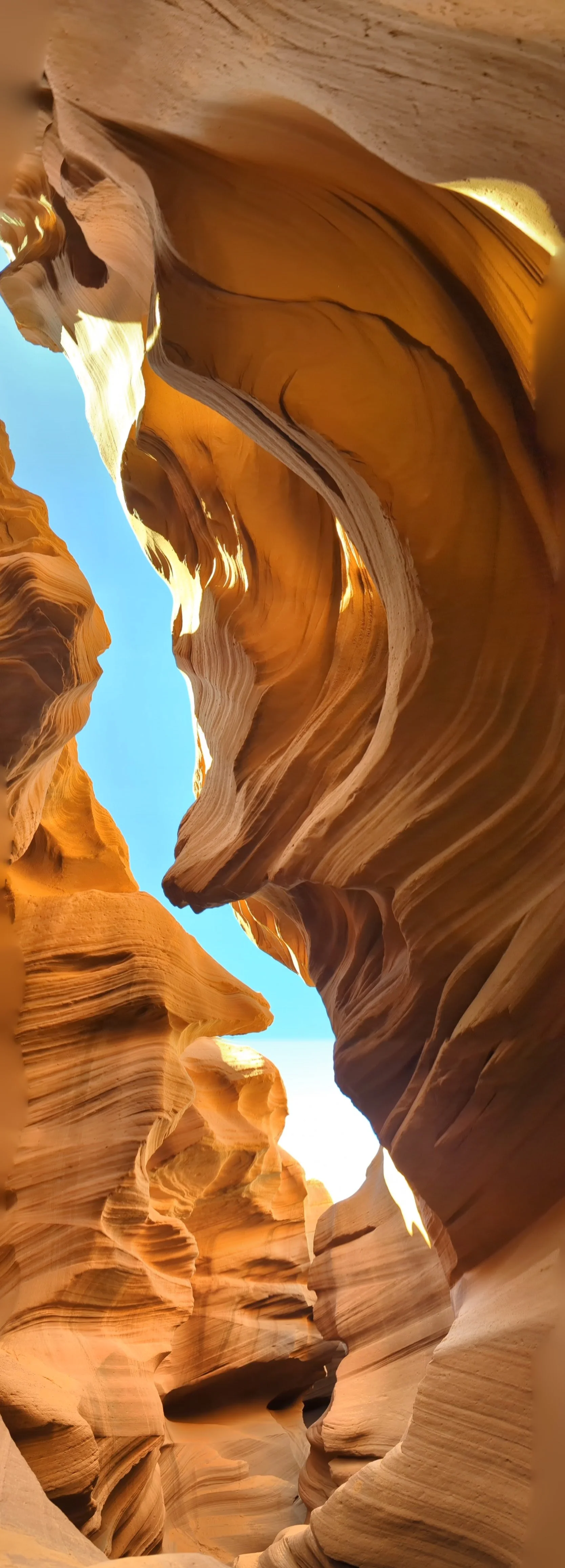 Narrow slot canyon with layered, wavy sandstone walls and a clear blue sky visible above.