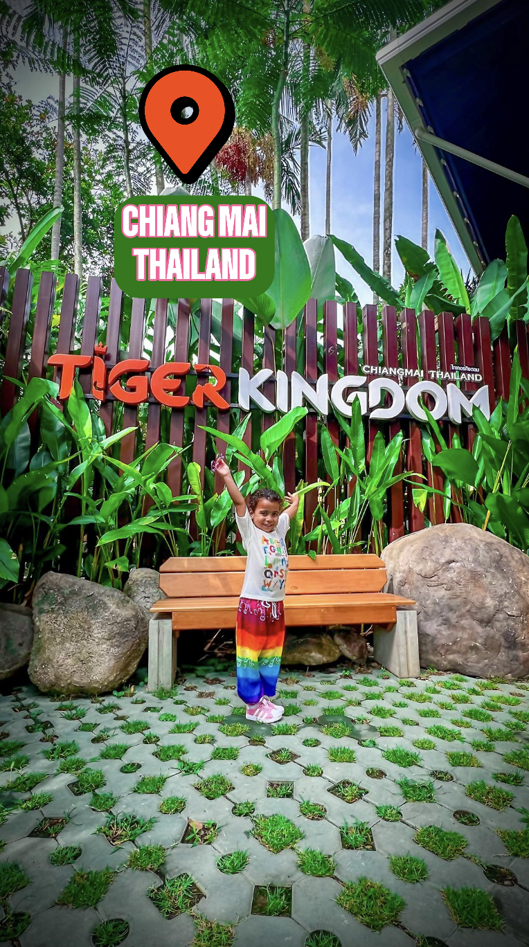 Un bambino sorridente con indumenti colorati, che si trova davanti a un banco con vegetazione e un cartello con scritto "Tiger Kingdom" a Chiang Mai, Thailandia. Sullo sfondo ci sono alberi e piante tropicali.