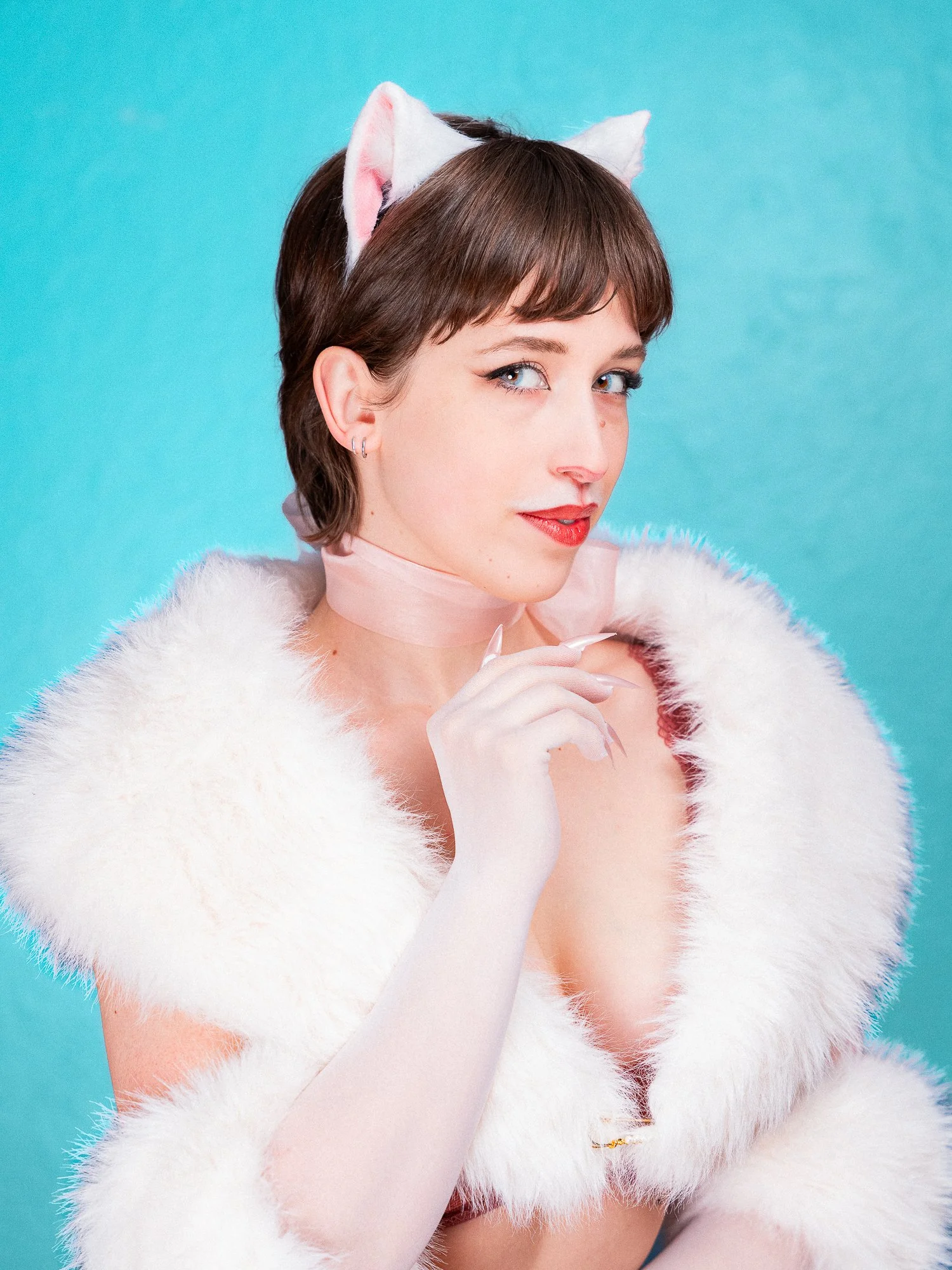 Cabaret Félin