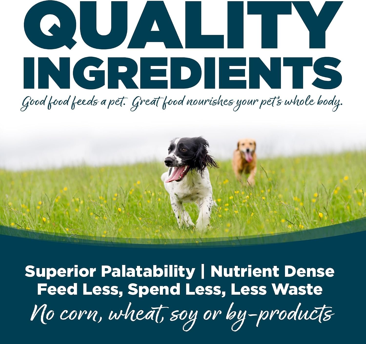 NutriSource Small Bites 3rd Photo.jpg