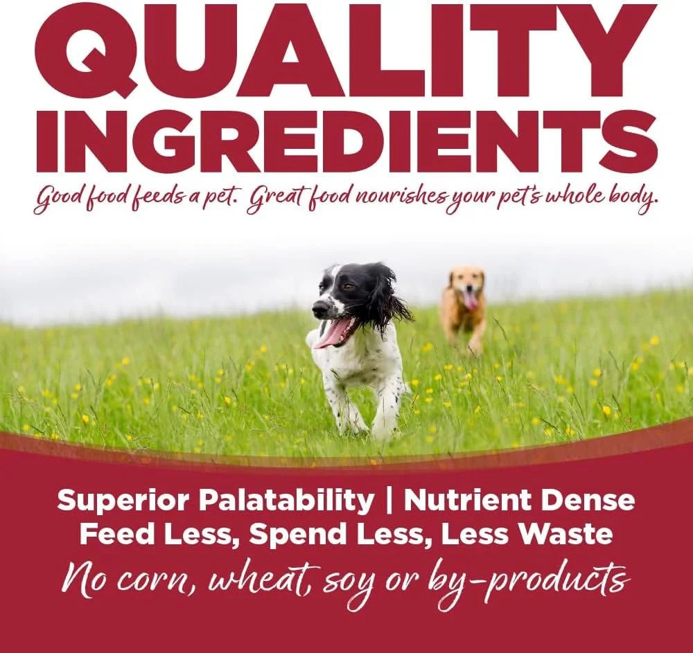 NutriSource Choice Beef & Barley 3rd Image.jpg
