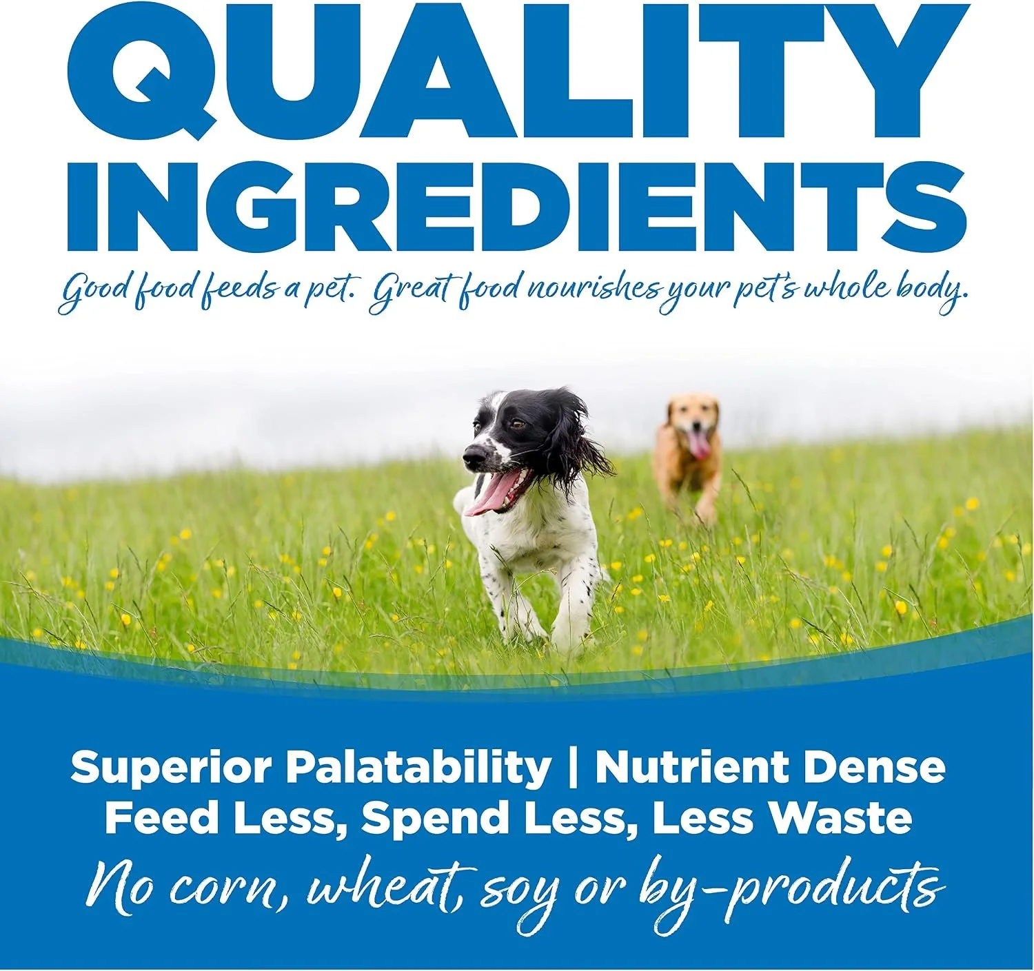 NutriSource Large Breed 3rd Photo.jpg